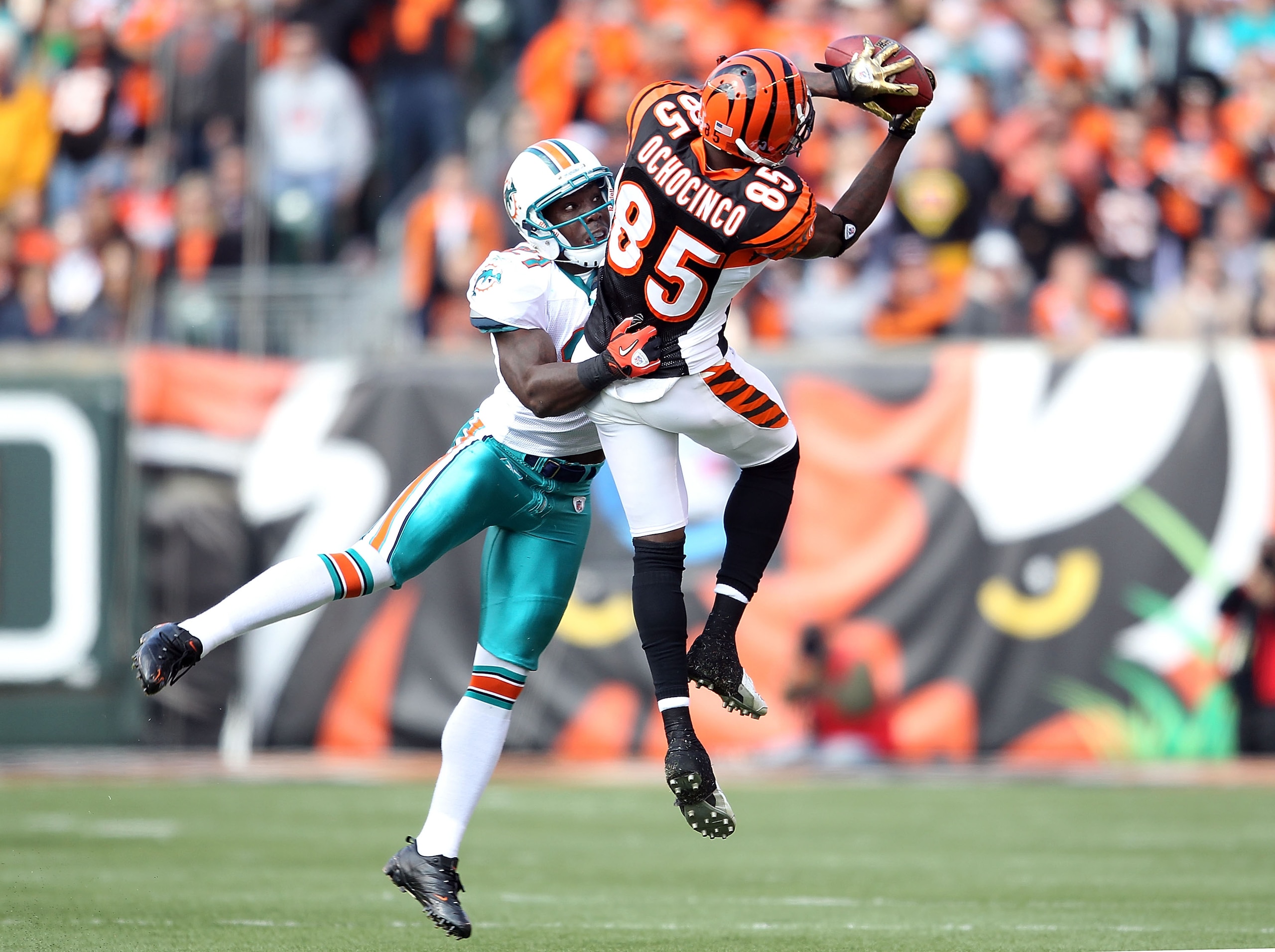 CINCINNATI - OCTOBER 31: Vontae Davis #21 of the Miami Dolphins defends Chad Ochocinco #85 of the Cincinnati Bengals as he catches a pass during the NFL game at Paul Brown Stadium on October 31, 2010 in Cincinnati, Ohio.  (Photo by Andy Lyons/Getty Images