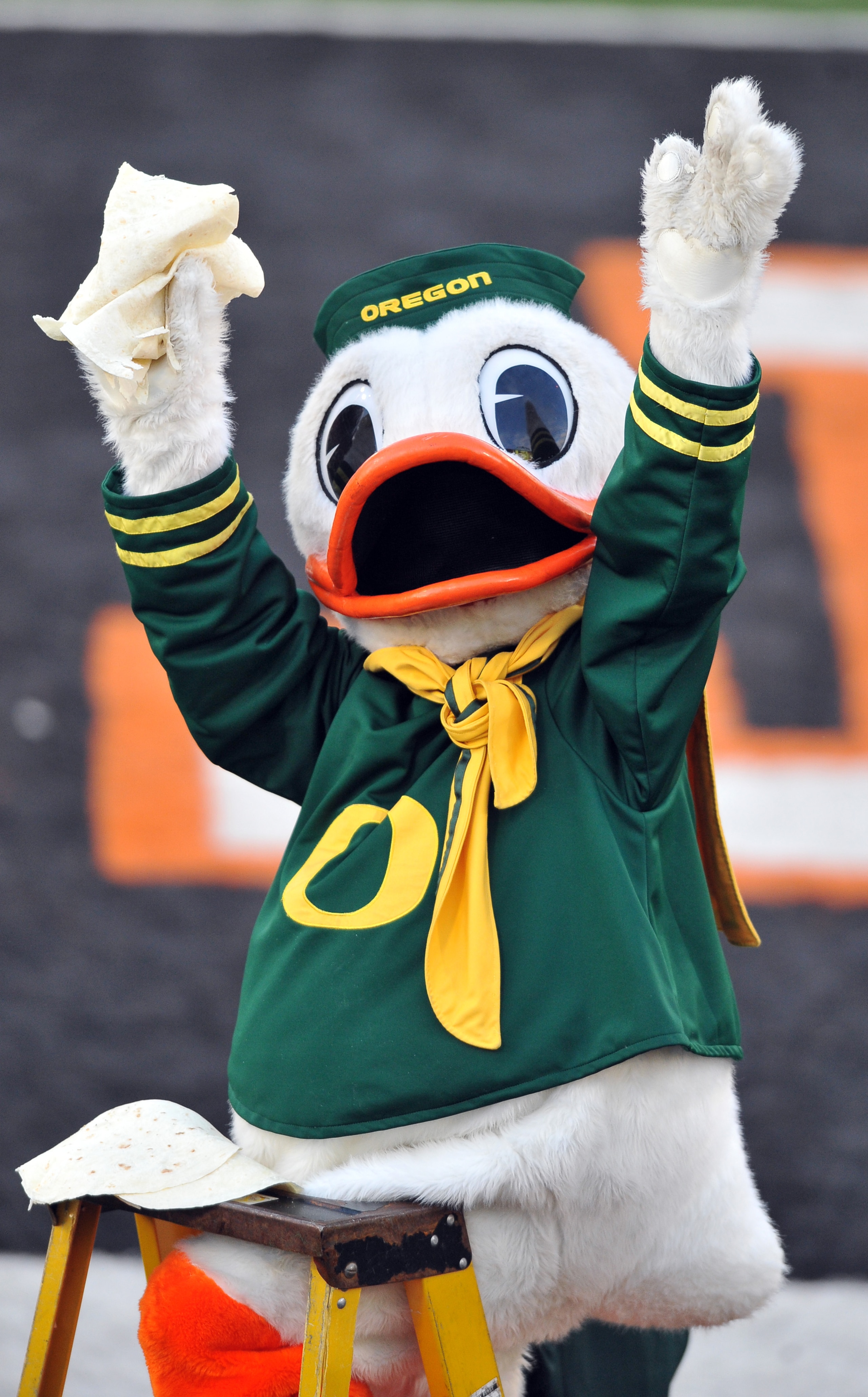 CORVALLIS, OR - DECEMBER 4: Oregon Ducks mascot 'Puddles' holds up some tortillas as time winds down in the fourth quarter of the game against the Oregon State Beavers at Reser Stadium on December 4, 2010 in Corvallis, Oregon. The Ducks beat the Beavers 3 CORVALLIS, OR - DECEMBER 4: Oregon Ducks mascot 'Puddles' holds up some tortillas as time winds down in the fourth quarter of the game against the Oregon State Beavers at Reser Stadium on December 4, 2010 in Corvallis, Oregon. The Ducks beat the Beavers 3