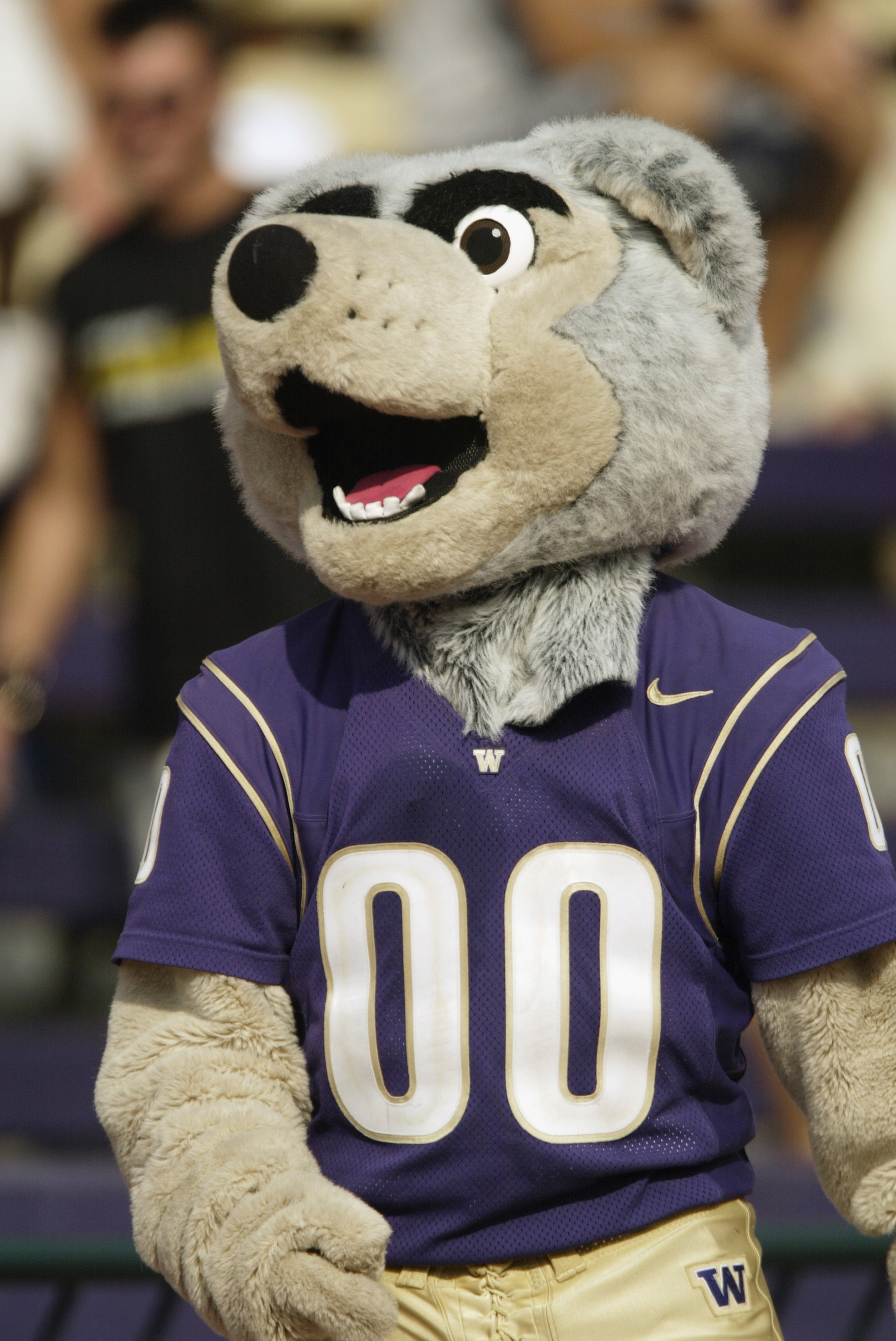 SEATTLE - SEPTEMBER 6: The University of Washington Huskies mascot walks the sideline during a game against the University of Indiana Hoosiers on September 6, 2003 at Husky Stadium in Seattle, Washington. Washington defeated Indiana 38-13. (Photo by SEATTLE - SEPTEMBER 6: The University of Washington Huskies mascot walks the sideline during a game against the University of Indiana Hoosiers on September 6, 2003 at Husky Stadium in Seattle, Washington. Washington defeated Indiana 38-13. (Photo by