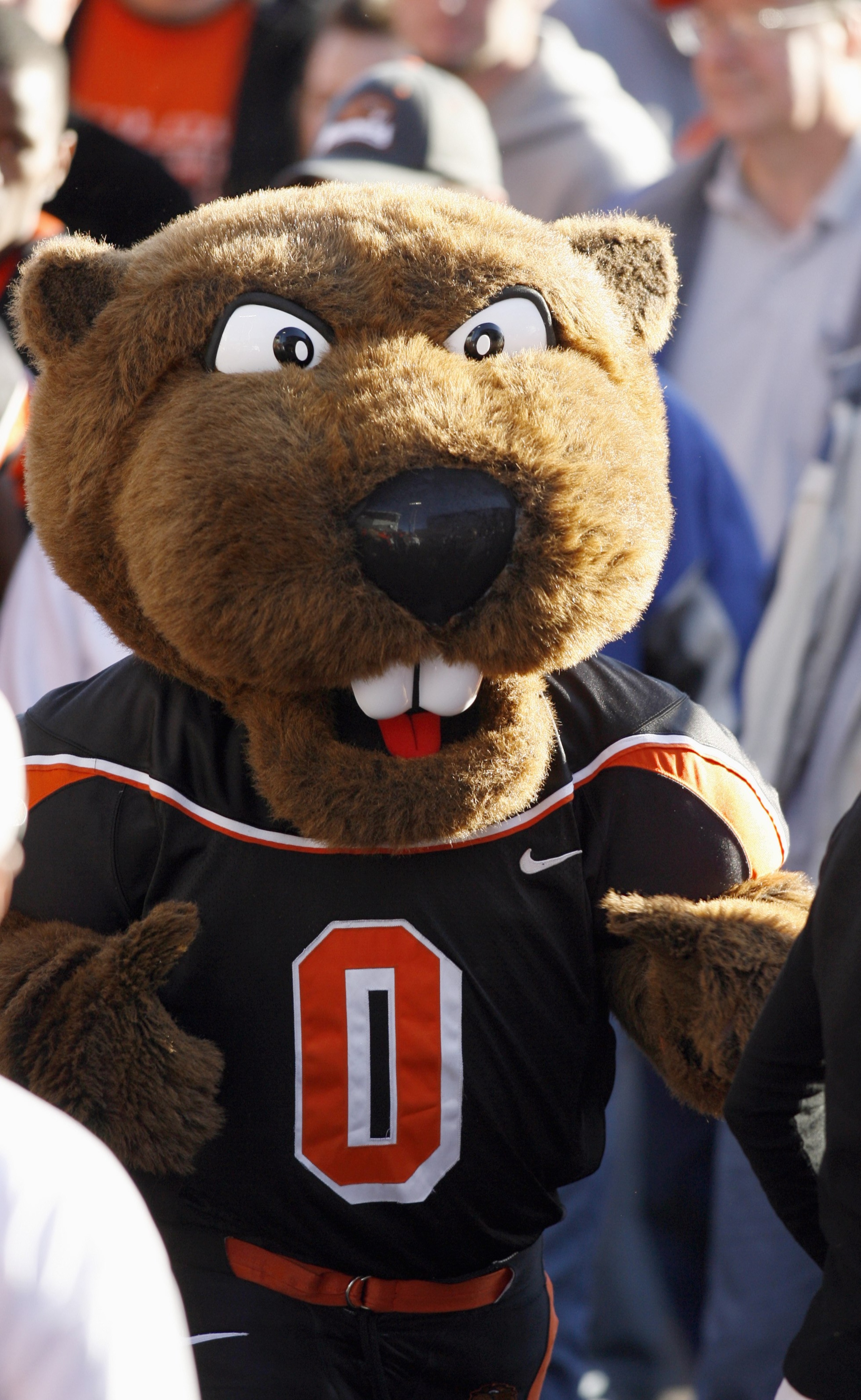 CORVALLIS, OR - OCTOBER 28: Mascot 'Benny' of the Oregon State Beavers mixes with the crowd after the game against the Southern California Trojans at Reser Stadium on October 28, 2006 in Corvallis, Oregon. The Beavers defeated the Trojans 33-31. (Photo b CORVALLIS, OR - OCTOBER 28: Mascot 'Benny' of the Oregon State Beavers mixes with the crowd after the game against the Southern California Trojans at Reser Stadium on October 28, 2006 in Corvallis, Oregon. The Beavers defeated the Trojans 33-31. (Photo b