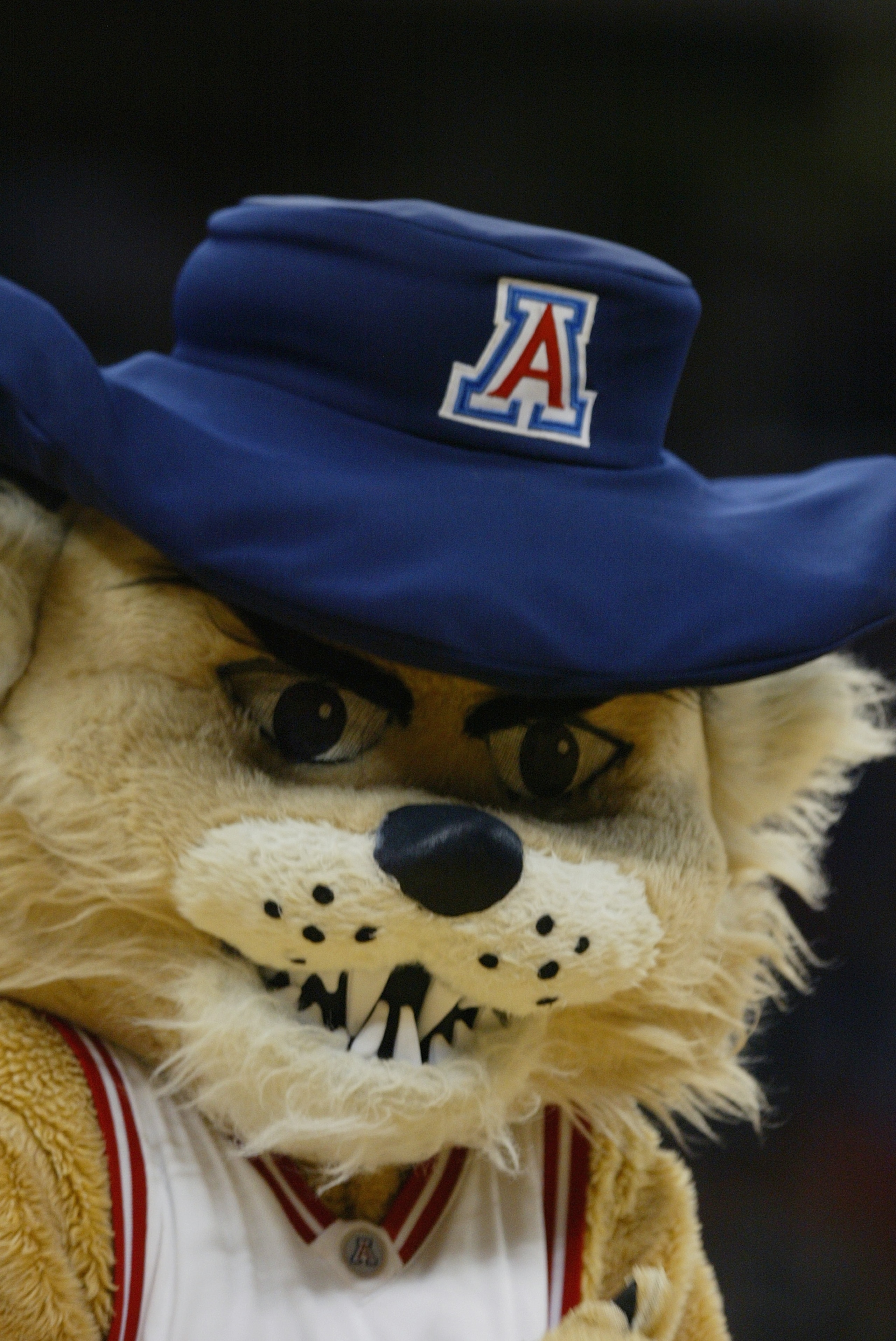 RALEIGH, NC - MARCH 18: Wilbur the Wildcats, the mascot of the Arizona Wildcats, during the first round game of the NCAA Division I Men's Basketball Tournament against the Seton Hall Pirates at the RBC Center on March 18, 2004 in Raleigh, North Carolina. RALEIGH, NC - MARCH 18: Wilbur the Wildcats, the mascot of the Arizona Wildcats, during the first round game of the NCAA Division I Men's Basketball Tournament against the Seton Hall Pirates at the RBC Center on March 18, 2004 in Raleigh, North Carolina.
