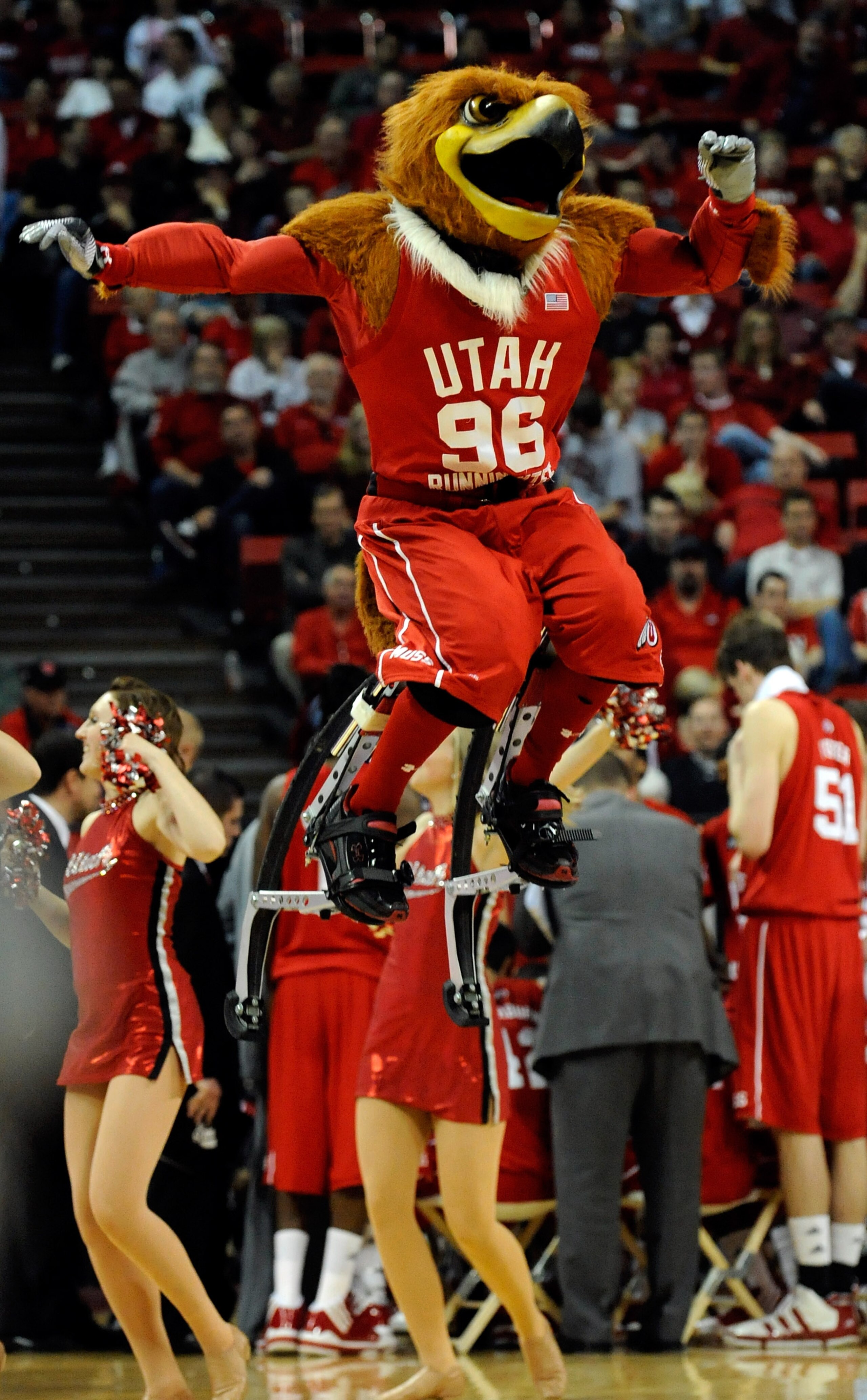 LAS VEGAS - MARCH 11: The Utah Utes mascot Swoop performs during a quarterfinal game against the UNLV Rebels at the Conoco Mountain West Conference Basketball tournament at the Thomas & Mack Center March 11, 2010 in Las Vegas, Nevada. UNLV won 73-61. ( LAS VEGAS - MARCH 11: The Utah Utes mascot Swoop performs during a quarterfinal game against the UNLV Rebels at the Conoco Mountain West Conference Basketball tournament at the Thomas & Mack Center March 11, 2010 in Las Vegas, Nevada. UNLV won 73-61. (