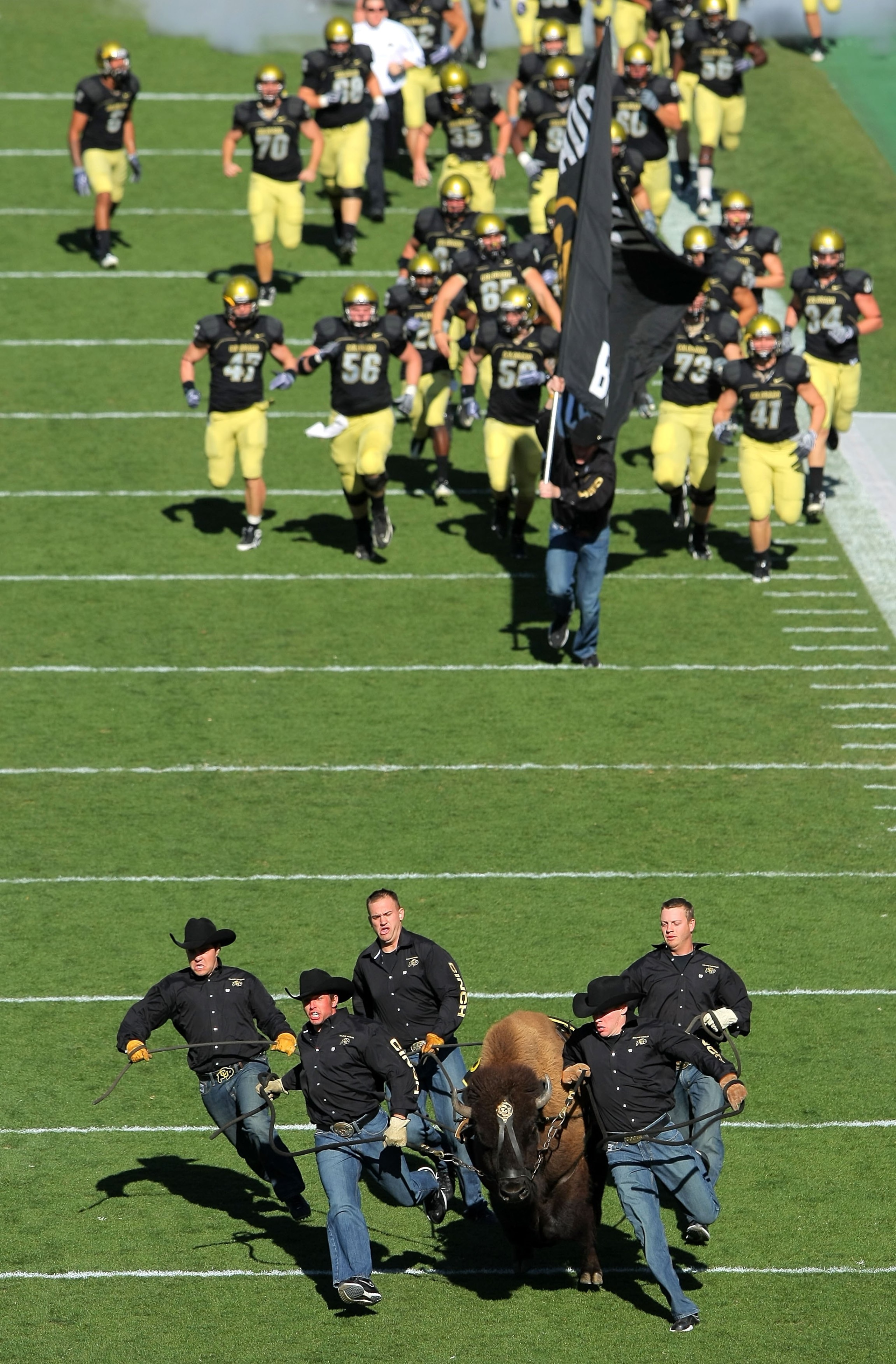 BOULDER, CO - NOVEMBER 07: The team of 'Ralphie Runners' escort Ralphie V onto the field ahead of the team before the Texas A&M Aggies face the Colorado Buffaloes during NCAA college football action at Folsom Field on November 7, 2009 in Boulder, Colorad BOULDER, CO - NOVEMBER 07: The team of 'Ralphie Runners' escort Ralphie V onto the field ahead of the team before the Texas A&M Aggies face the Colorado Buffaloes during NCAA college football action at Folsom Field on November 7, 2009 in Boulder, Colorad