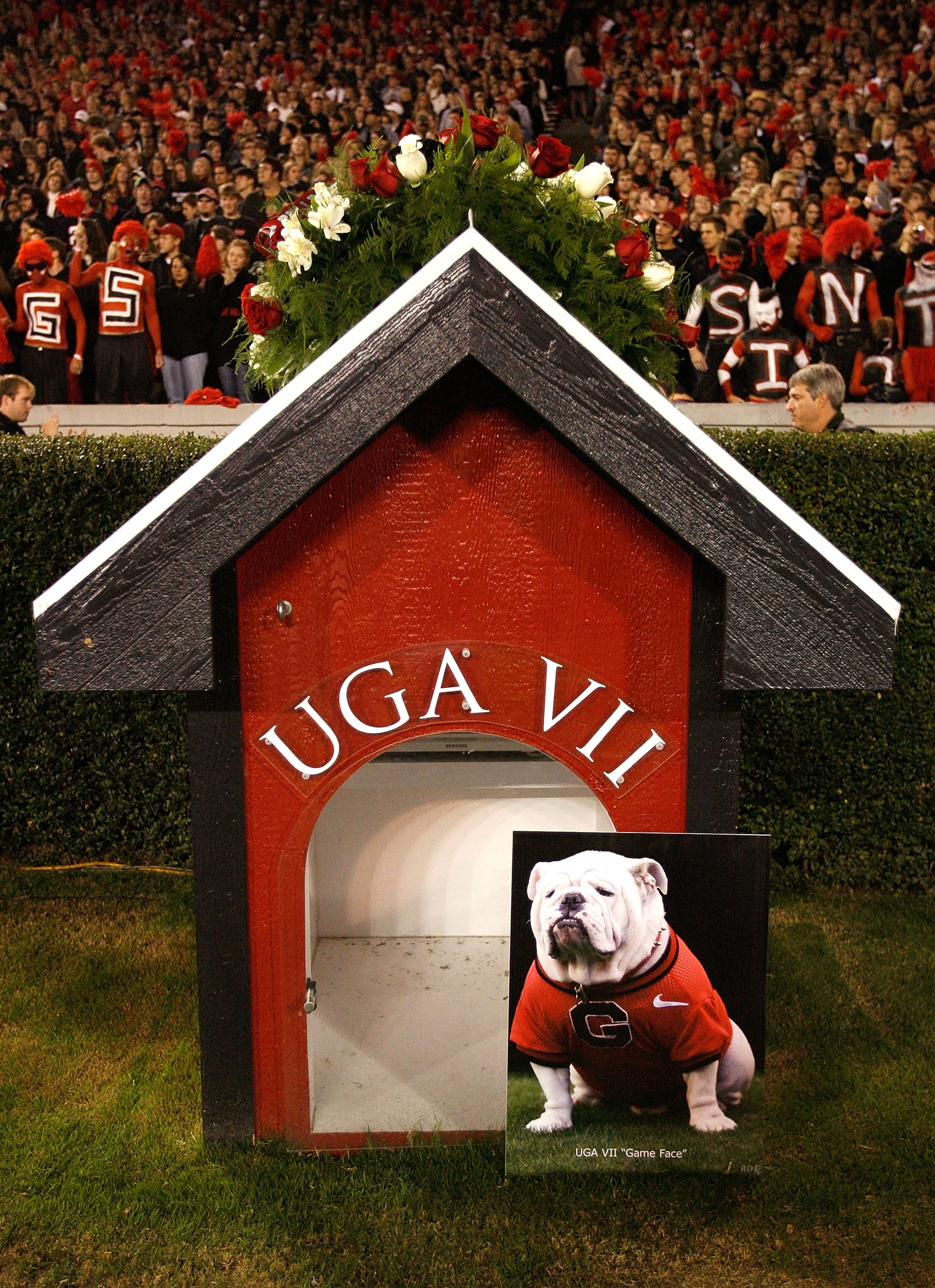 ATHENS, GA - NOVEMBER 21: A wreath lay on top of the doghouse in honor of UGA VII before the game between the Georgia Bulldogs and the Kentucky Wildcats at Sanford Stadium on November 21, 2009 in Athens, Georgia. (Photo by Kevin C. Cox/Getty Images) ATHENS, GA - NOVEMBER 21: A wreath lay on top of the doghouse in honor of UGA VII before the game between the Georgia Bulldogs and the Kentucky Wildcats at Sanford Stadium on November 21, 2009 in Athens, Georgia. (Photo by Kevin C. Cox/Getty Images)