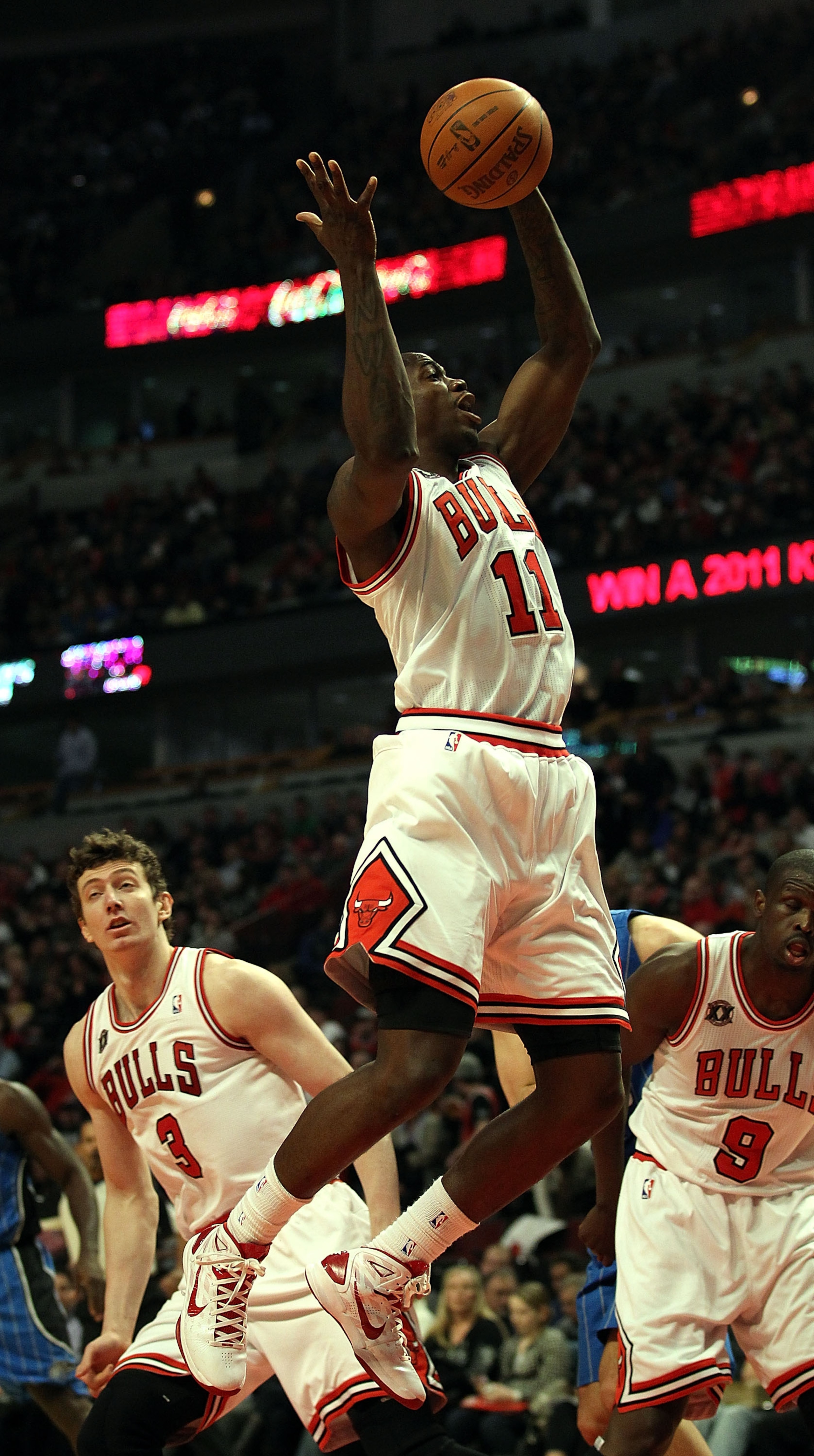 CHICAGO, IL - JANUARY 28: Ronnie Brewer #11 of the Chicago Bulls grabs a rebound against the Orlando Magic at the United Center on January 28, 2011 in Chicago, Illinois. The Bulls defeated the Magic 99-90. NOTE TO USER: User expressly acknowledges and agr