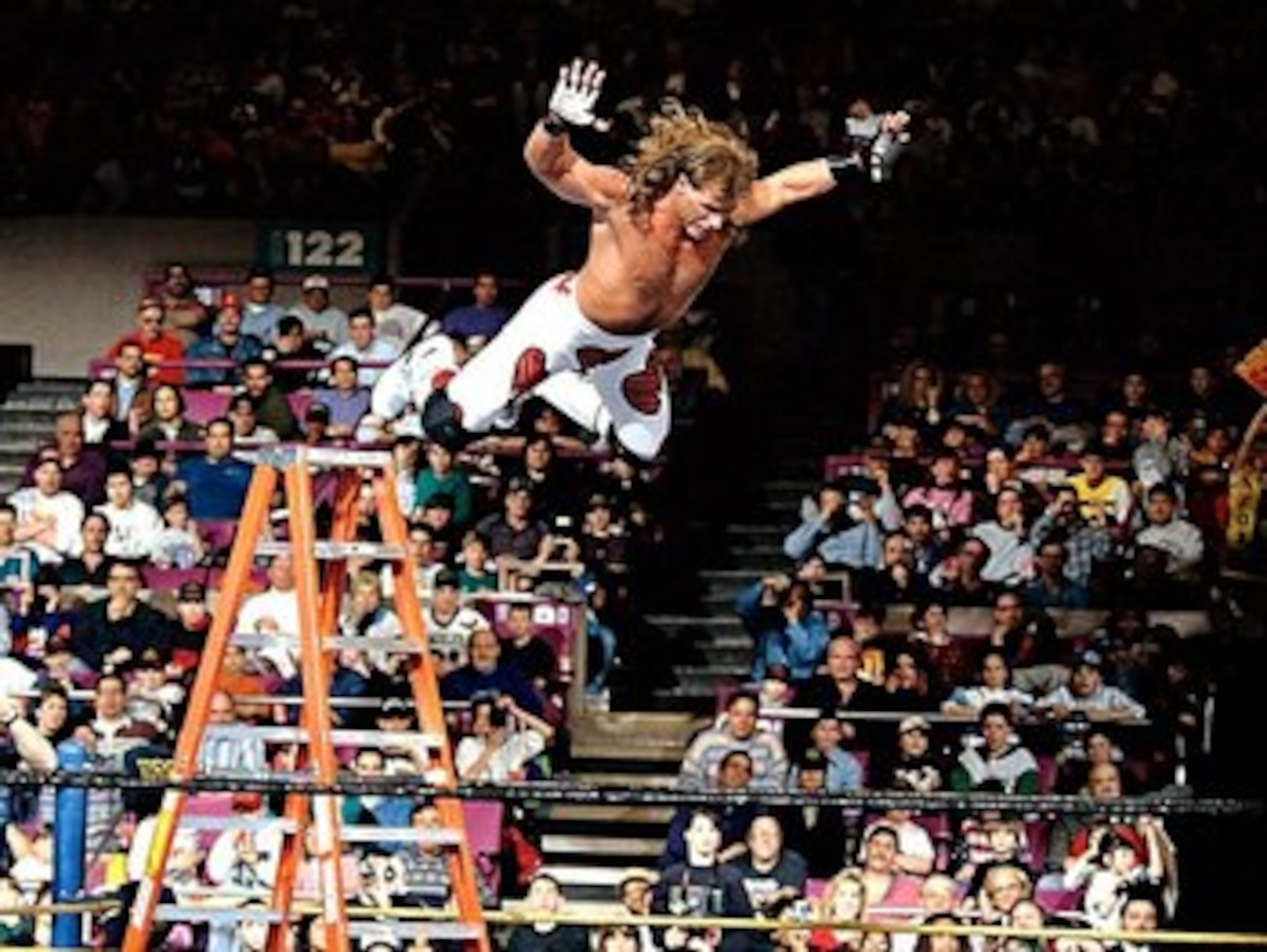 While Ladder Matches may seem fairly ordinary in 2011, it's only because Shawn Michaels and Razor Ramon practically invented the modern Ladder Match in 1994.