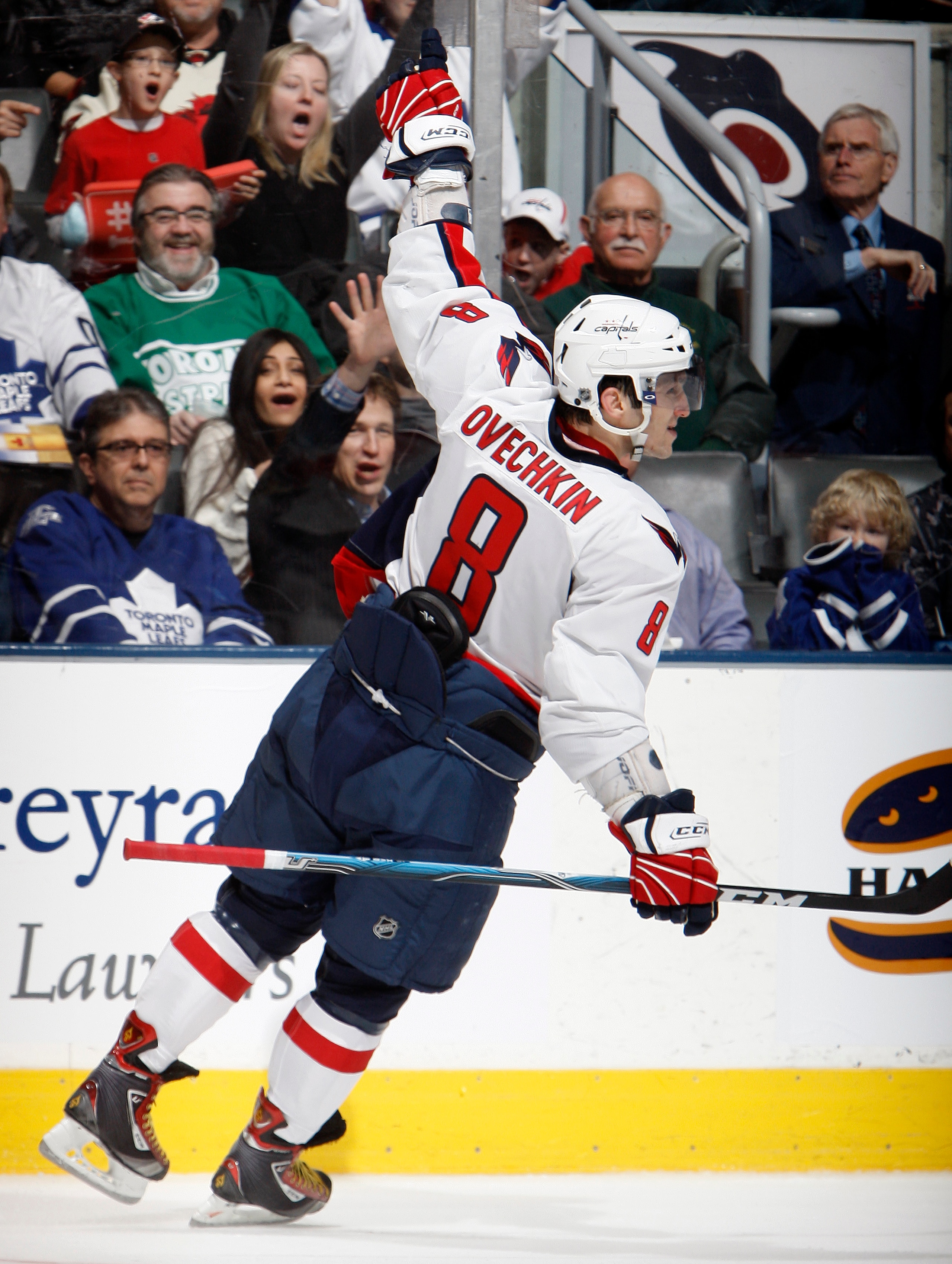 TORONTO, CANADA - JANUARY 22: Alex Ovechkin #8 of the Washington Capitals celebrates his goal goal against the Toronto Maple Leafs during game action at the Air Canada Centre January 22, 2011 in Toronto, Ontario, Canada. (Photo by Abelimages/Getty Images)