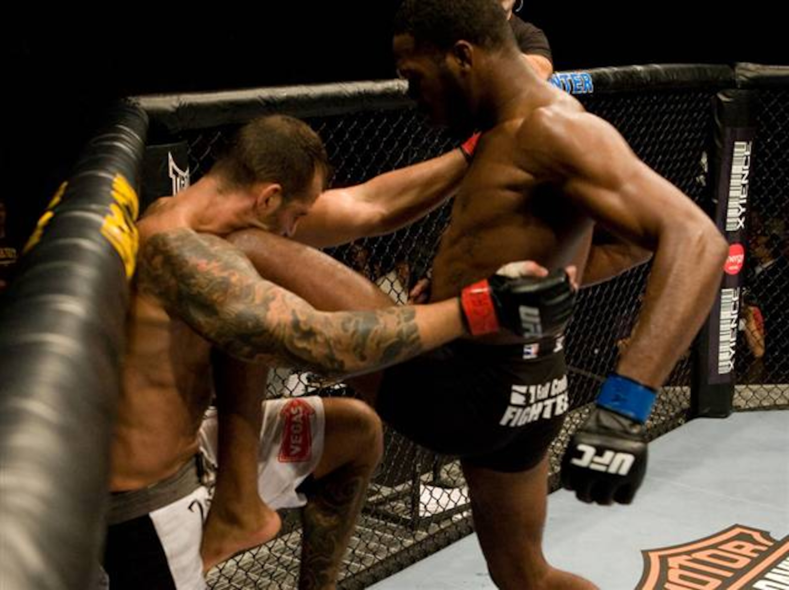 Courtesy of UFC