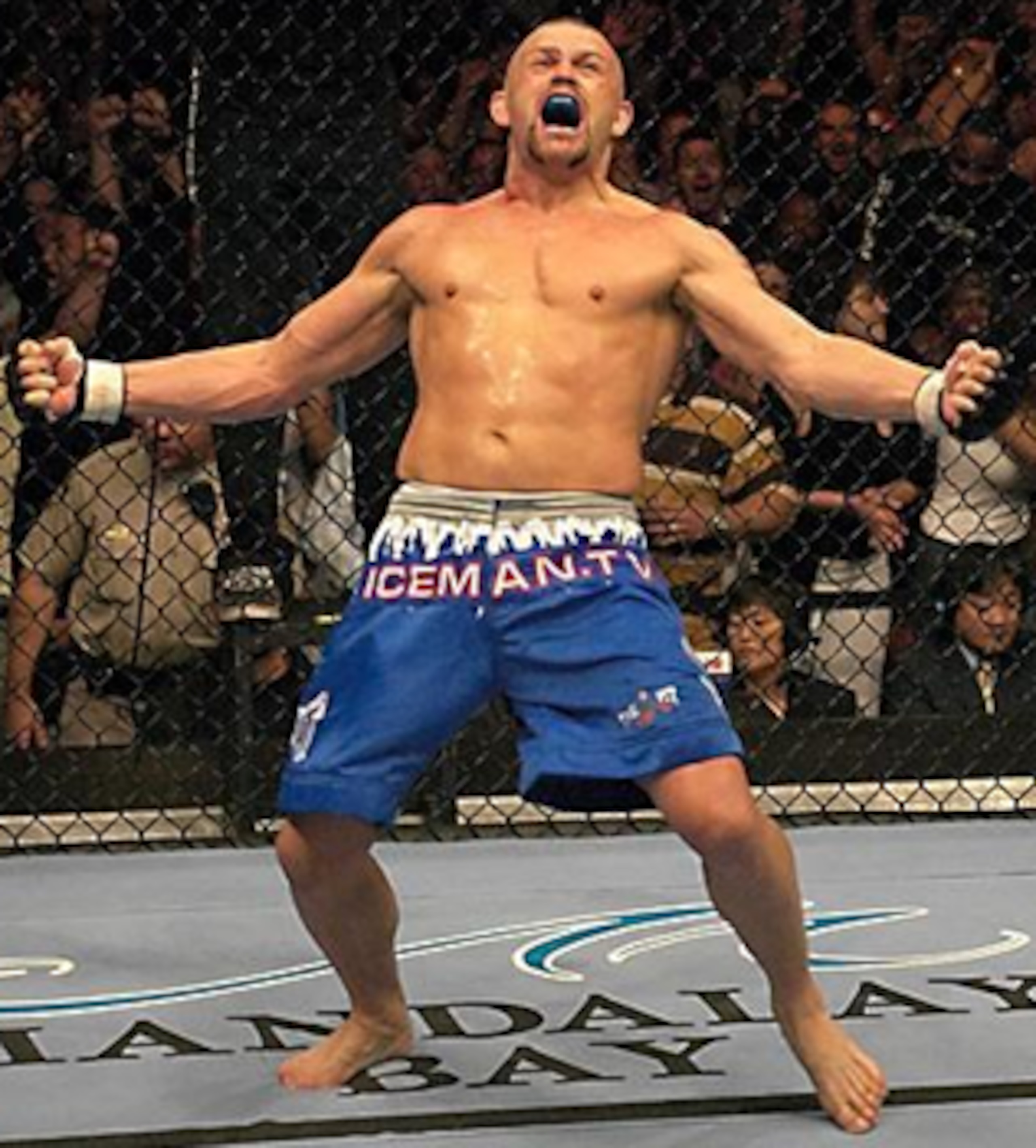 Courtesy of UFC