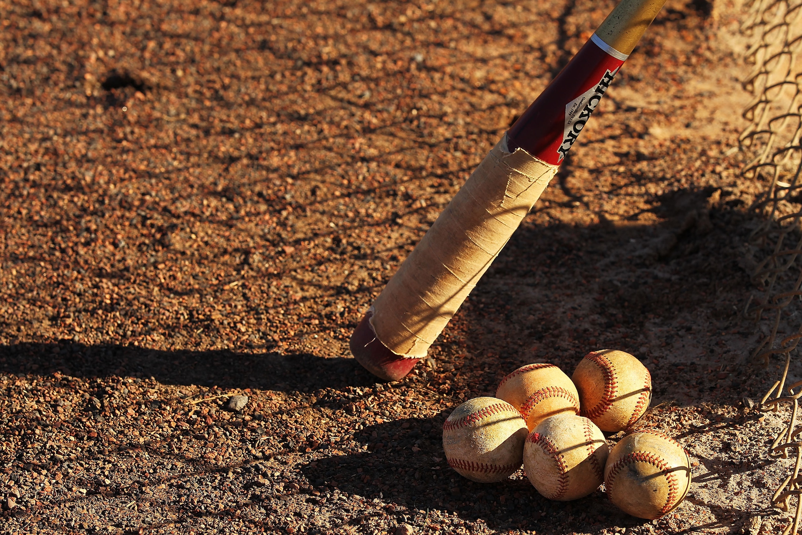 KISSIMMEE, FL - JANUARY 28:  Baseballs and a Fungo Bat lie in the dirt during the Jim Evans Academy of Professional Umpiring on January 28, 2011 at the Houston Astros Spring Training Complex  in Kissimmee, Florida.  Jim Evans was a Major League Umpire for