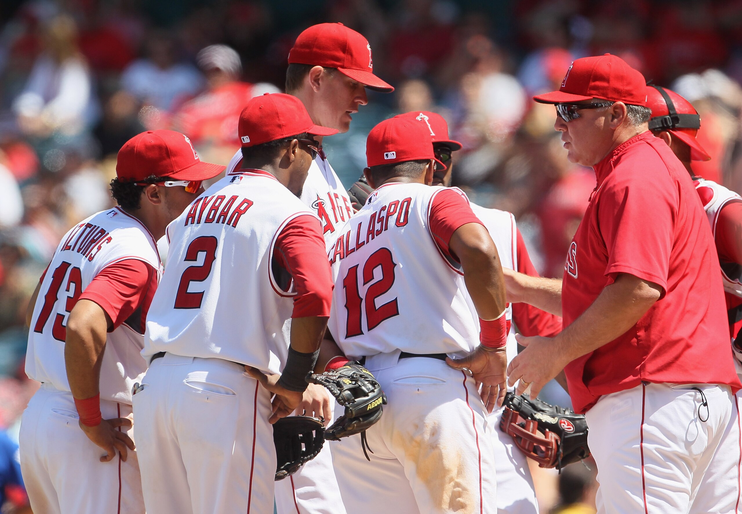 ANAHEIM, CA - AUGUST 11:  (L-R) Maicer Izturis #13, Erick Aybar #2, Jered Weaver #36 and Alberto Callaspo #12 of Los Angeles Angels of Anaheim meet with manager Mike Scioscia on the pitchers mound in the eighth inning against the Kansas City Royals at Ang