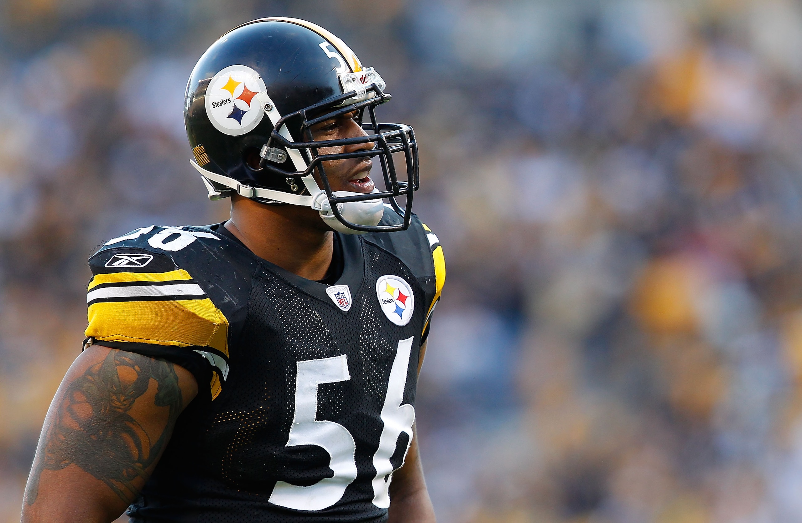 PITTSBURGH, PA - NOVEMBER 21: LaMarr Woodley #56 of the Pittsburgh Steelers lines up before the snap during the game against the Oakland Raiders on November 21, 2010 at Heinz Field in Pittsburgh, Pennsylvania. (Photo by Jared Wickerham/Getty Images) PITTSBURGH, PA - NOVEMBER 21: LaMarr Woodley #56 of the Pittsburgh Steelers lines up before the snap during the game against the Oakland Raiders on November 21, 2010 at Heinz Field in Pittsburgh, Pennsylvania. (Photo by Jared Wickerham/Getty Images)