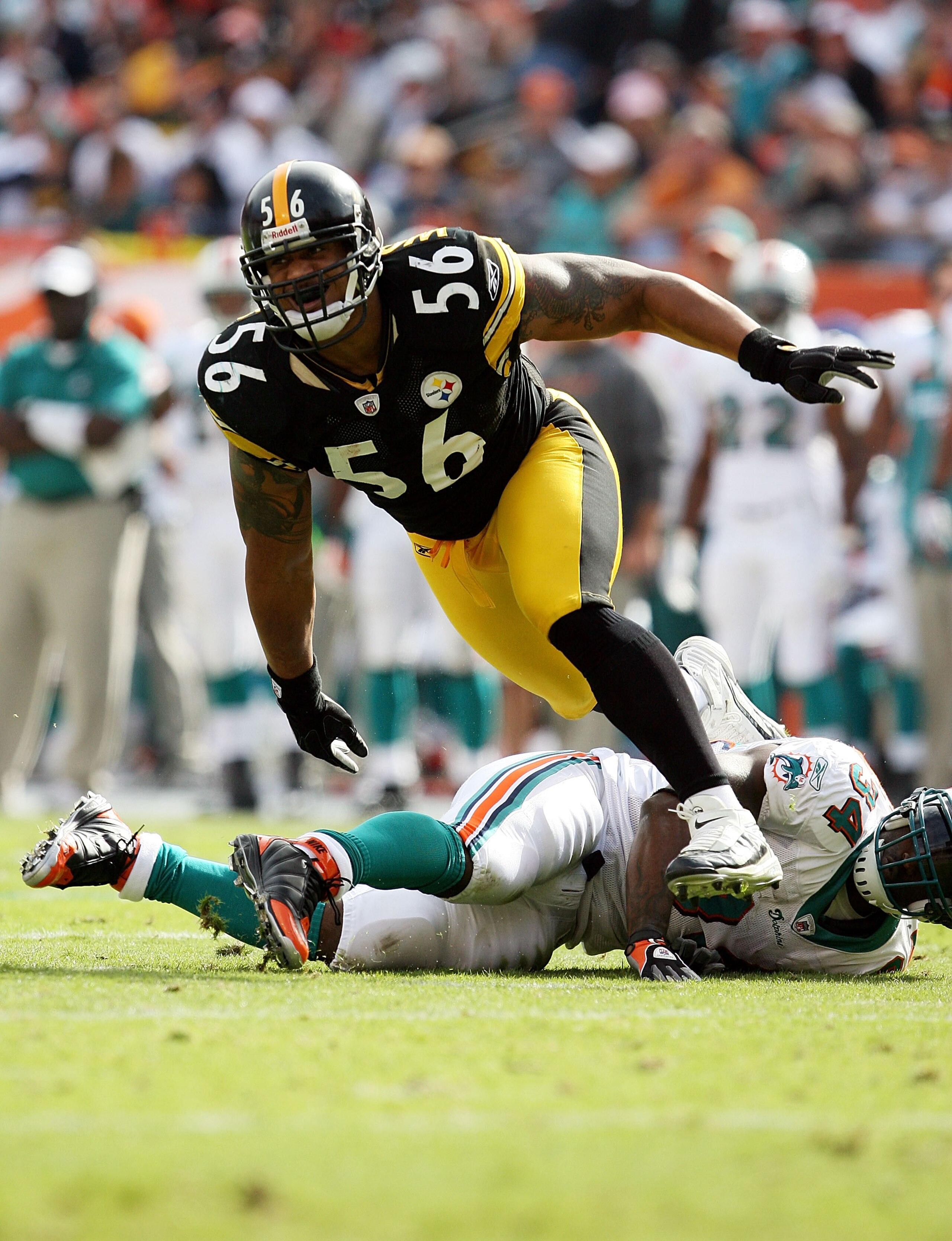 MIAMI - JANUARY 03: Linebacker LaMarr Woodley #56 of the Pittsburgh Steelers tries to get into the backfield after running over running back Ricky Williams #34 of the Miami Dolphins at Land Shark Stadium on January 3, 2010 in Miami, Florida. (Photo by D MIAMI - JANUARY 03: Linebacker LaMarr Woodley #56 of the Pittsburgh Steelers tries to get into the backfield after running over running back Ricky Williams #34 of the Miami Dolphins at Land Shark Stadium on January 3, 2010 in Miami, Florida. (Photo by D