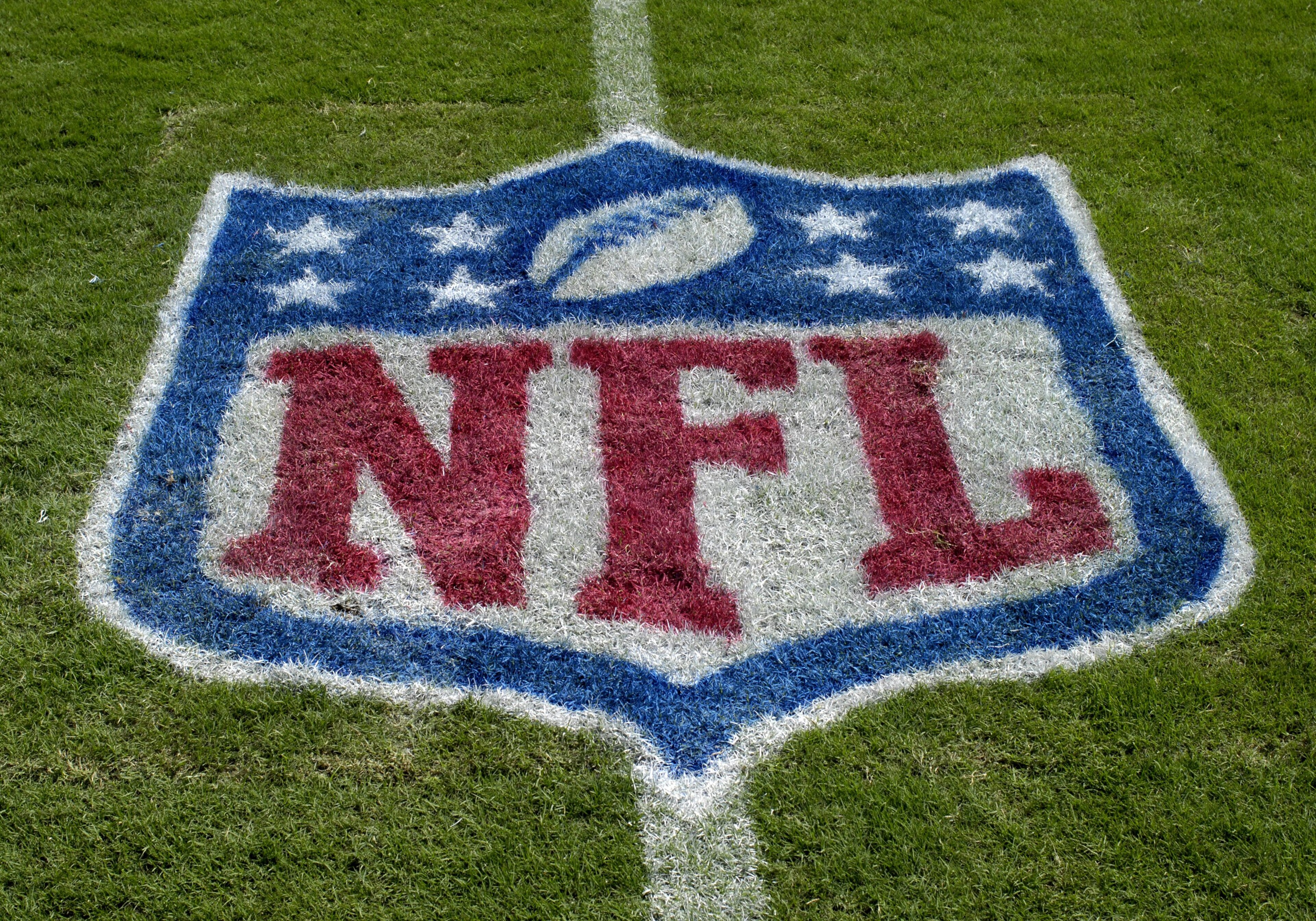TAMPA, FL - OCTOBER 12: An NFL logo as the Tampa Bay Buccaneers host the Carolina Panthers at Raymond James Stadium on October 12, 2008 in Tampa, Florida.  (Photo by Al Messerschmidt/Getty Images)