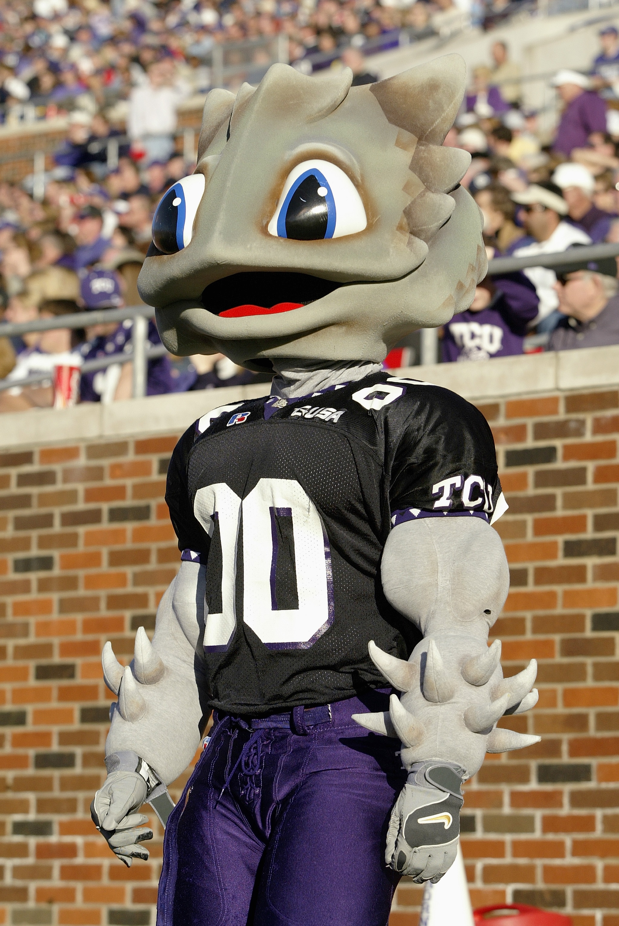 DALLAS - NOVEMBER 29:  SuperFrog, the mascot of the Texas Christian University Horned Frogs, on the field during the game against the Southern Methodist University Mustangs on November 29, 2003 at Gerald J. Ford Stadium in Dallas, Texas. TCU won 20-13. (P