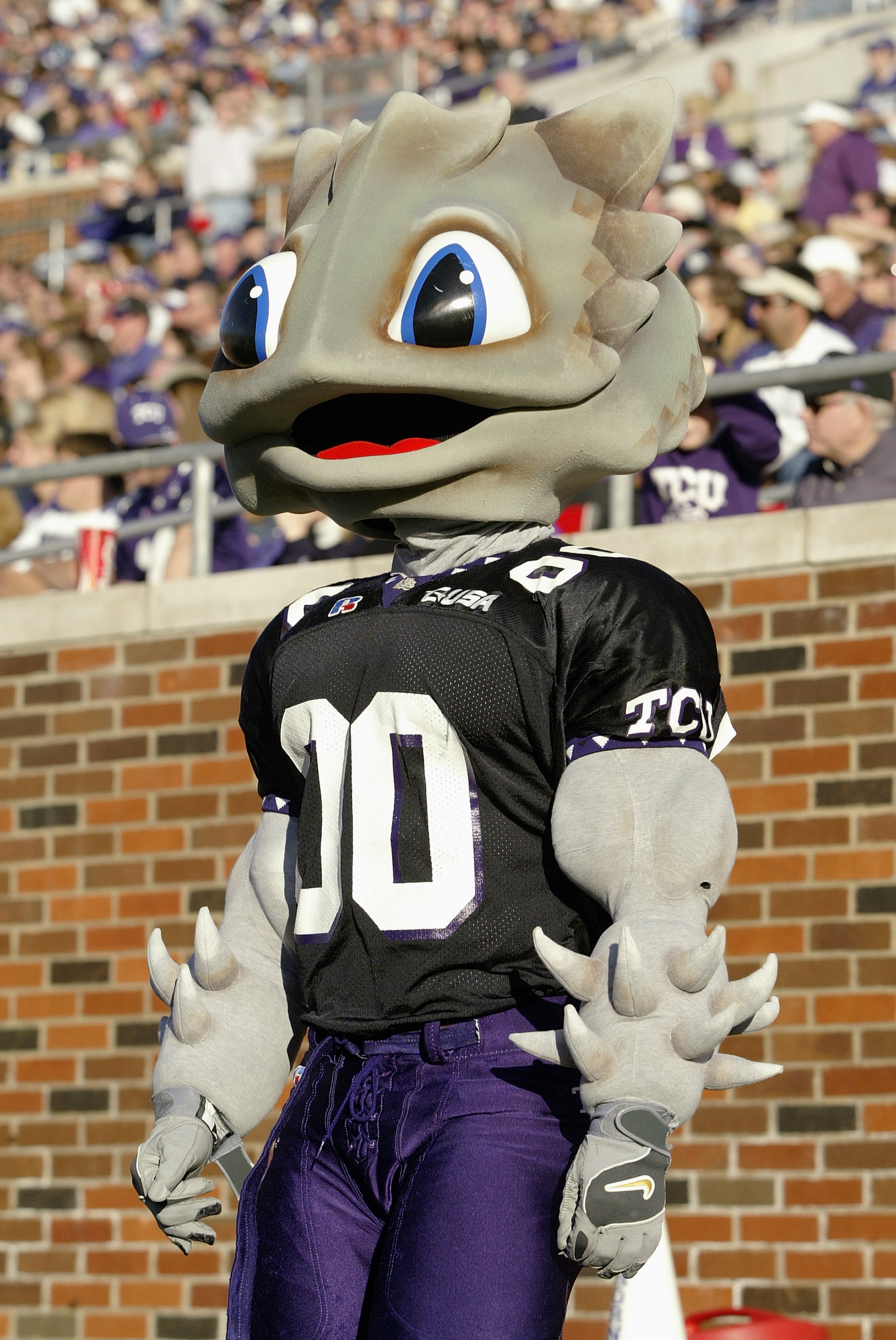 DALLAS - NOVEMBER 29:  SuperFrog, the mascot of the Texas Christian University Horned Frogs, on the field during the game against the Southern Methodist University Mustangs on November 29, 2003 at Gerald J. Ford Stadium in Dallas, Texas. TCU won 20-13. (P