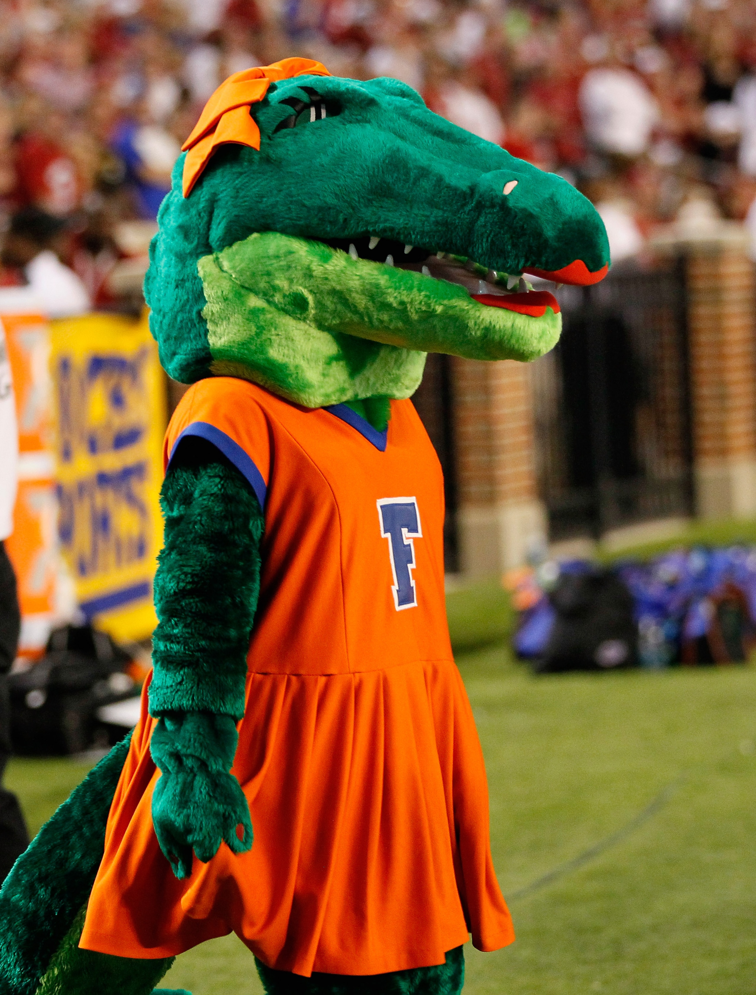 TUSCALOOSA, AL - OCTOBER 02:  Alberta, mascot of the Florida Gators, during the game against the Alabama Crimson Tide at Bryant-Denny Stadium on October 2, 2010 in Tuscaloosa, Alabama.  (Photo by Kevin C. Cox/Getty Images)