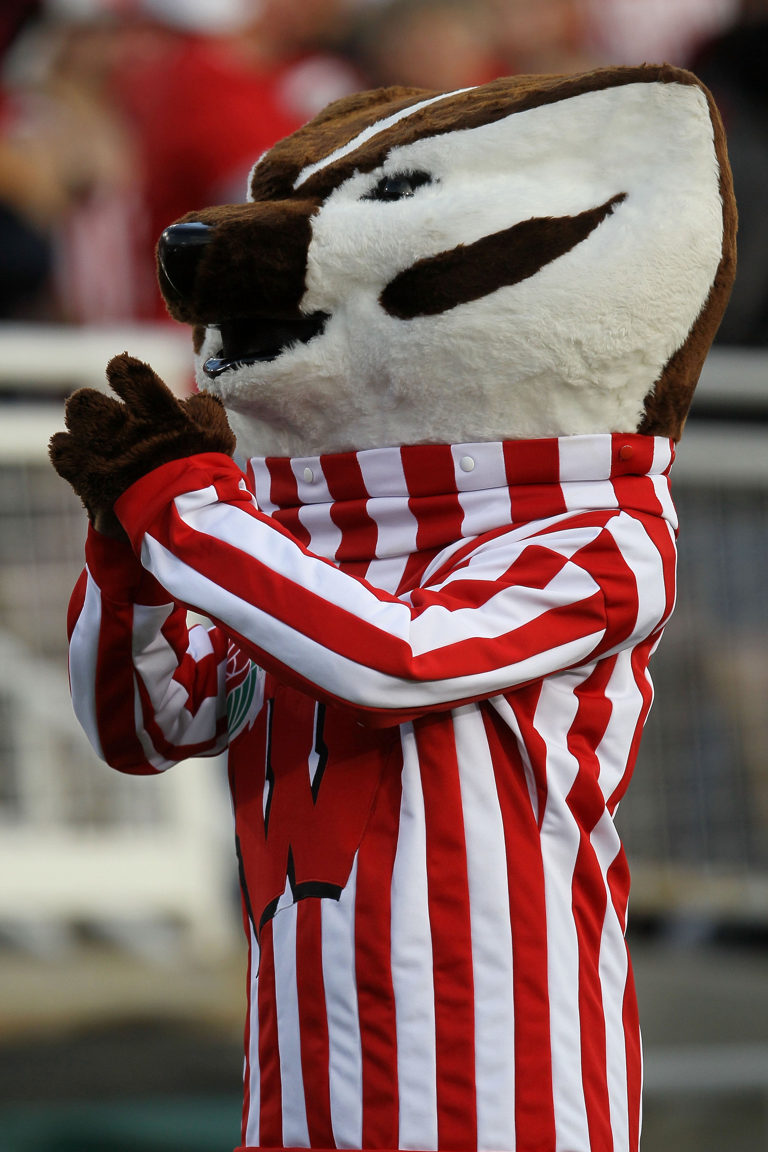 PASADENA, CA - JANUARY 01:  Bucky Badger of the Wisconsin Badgers looks on during the game against the TCU Horned Frogs in the 97th Rose Bowl game on January 1, 2011 in Pasadena, California.  (Photo by Stephen Dunn/Getty Images)