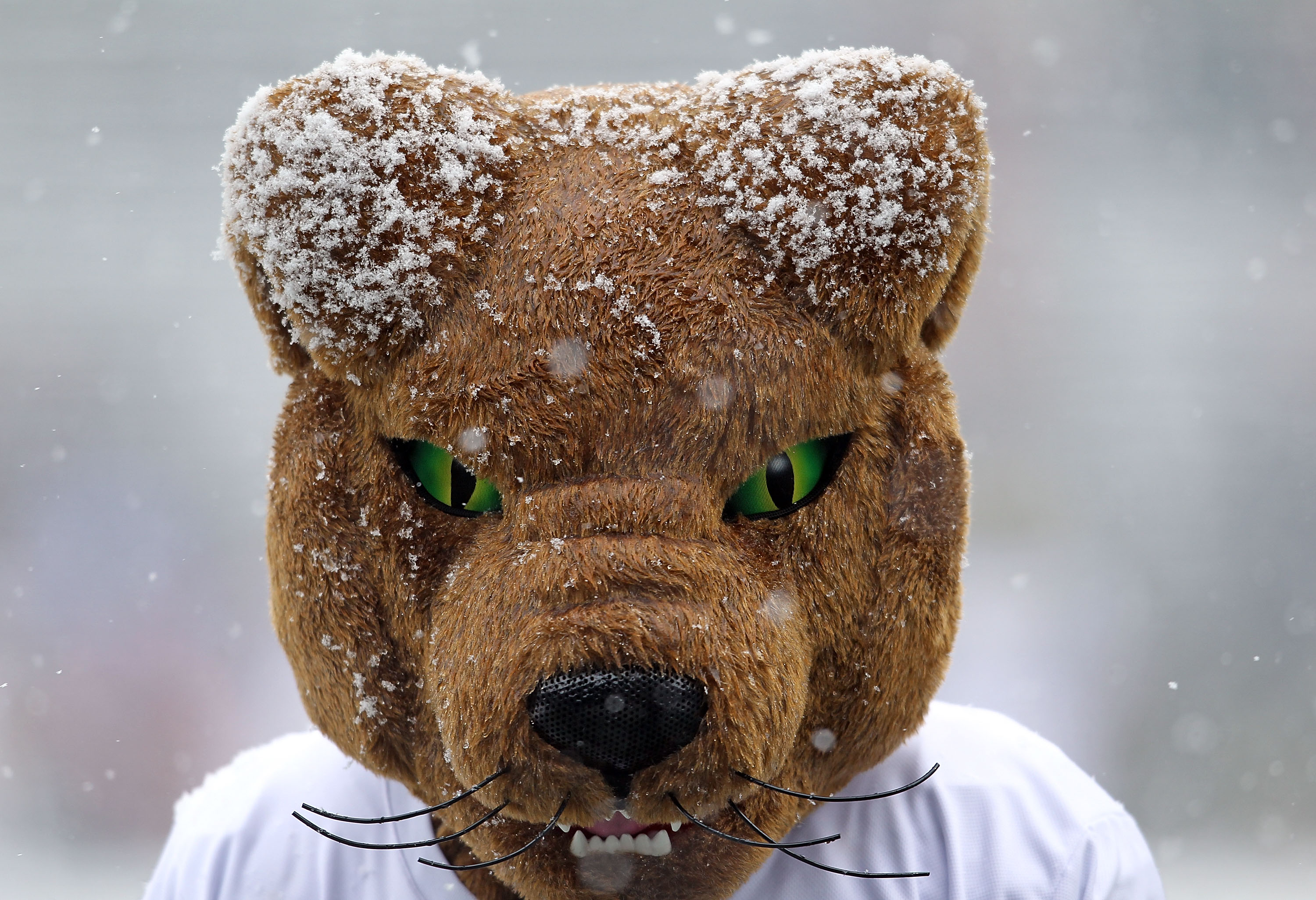 CINCINNATI, OH - DECEMBER 04:  The Pittsburg mascot is pictured covered in snow during the Big East Conference game between the the Pittsburgh Panthers and the Cincinnati Bearcats at Nippert Stadium on December 4, 2010 in Cincinnati, Ohio.  (Photo by Andy