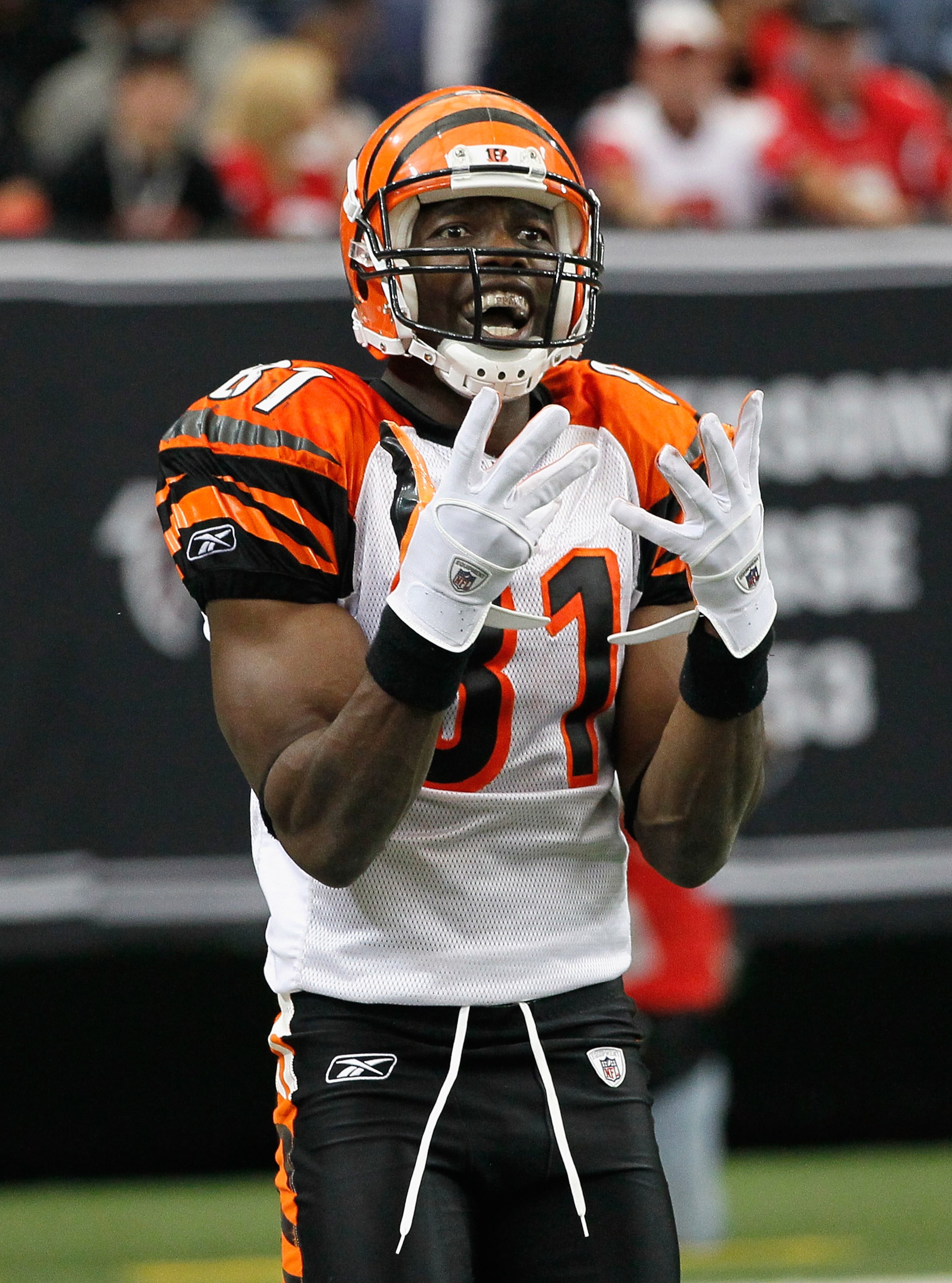 ATLANTA - OCTOBER 24:  Terrell Owens #81 of the Cincinnati Bengals against the Atlanta Falcons at Georgia Dome on October 24, 2010 in Atlanta, Georgia.  (Photo by Kevin C. Cox/Getty Images)