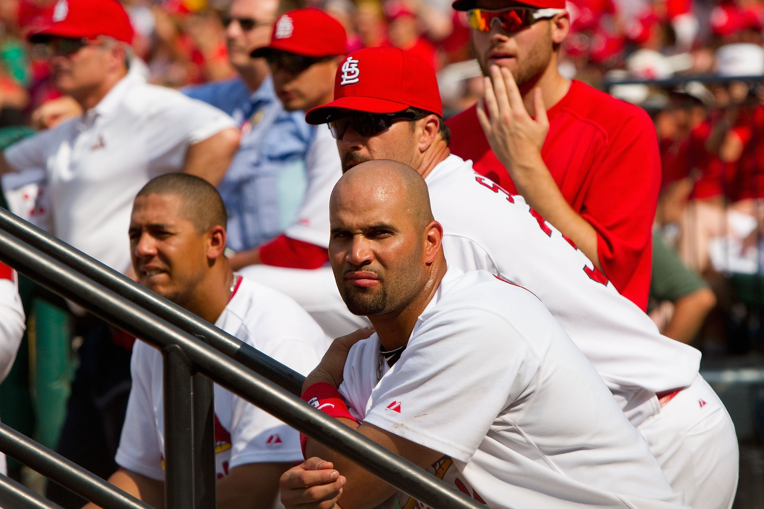 ST. LOUIS - AUGUST 18: Albert Pujols #5 of the St. Louis Cardinals looks on with teammates from the dugout against the Milwaukee Brewers at Busch Stadium on August 18, 2010 in St. Louis, Missouri. The Brewers beat the Cardinals 3-2. (Photo by Dilip Vis ST. LOUIS - AUGUST 18: Albert Pujols #5 of the St. Louis Cardinals looks on with teammates from the dugout against the Milwaukee Brewers at Busch Stadium on August 18, 2010 in St. Louis, Missouri. The Brewers beat the Cardinals 3-2. (Photo by Dilip Vis