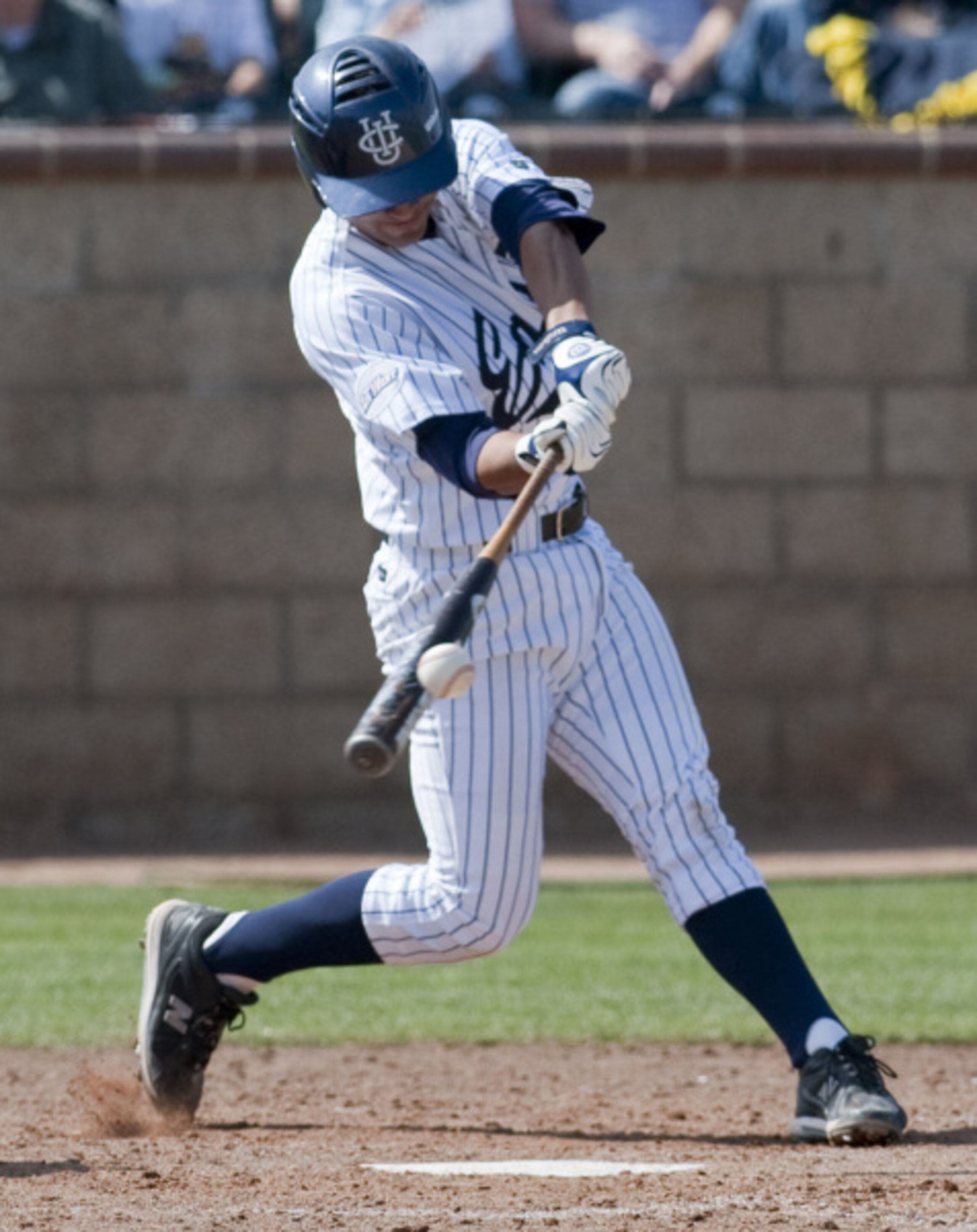 Brian Hernandez
