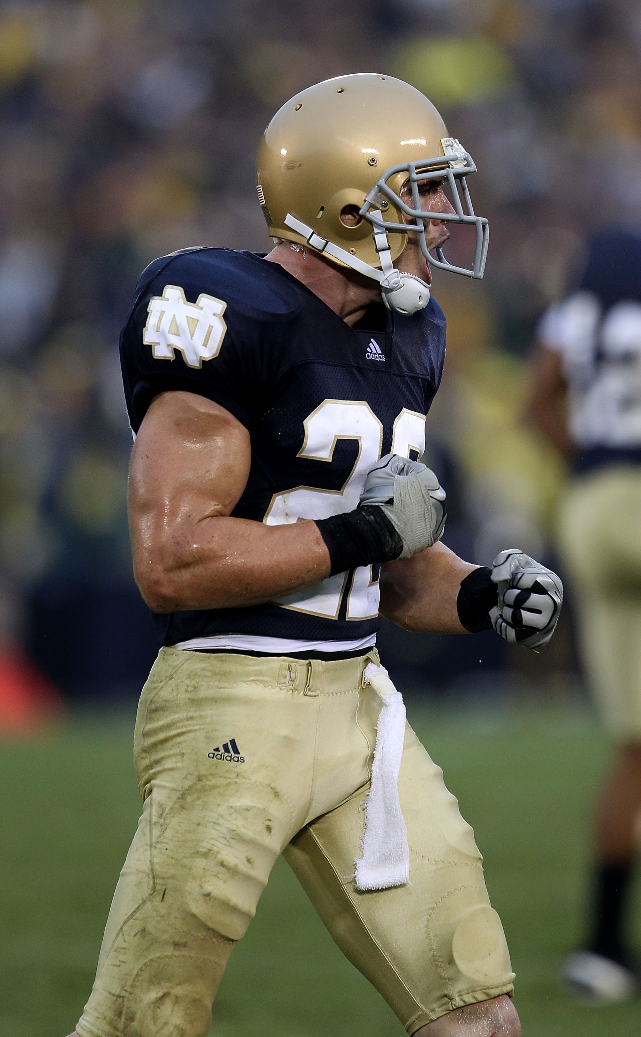 SOUTH BEND, IN - SEPTEMBER 11: Harrison Smith #22 of the Notre Dame Fighting Irish celebrates a defensive play against the Michigan Wolverines at Notre Dame Stadium on September 11, 2010 in South Bend, Indiana. Michigan defeated Notre Dame 28-24. (Photo b