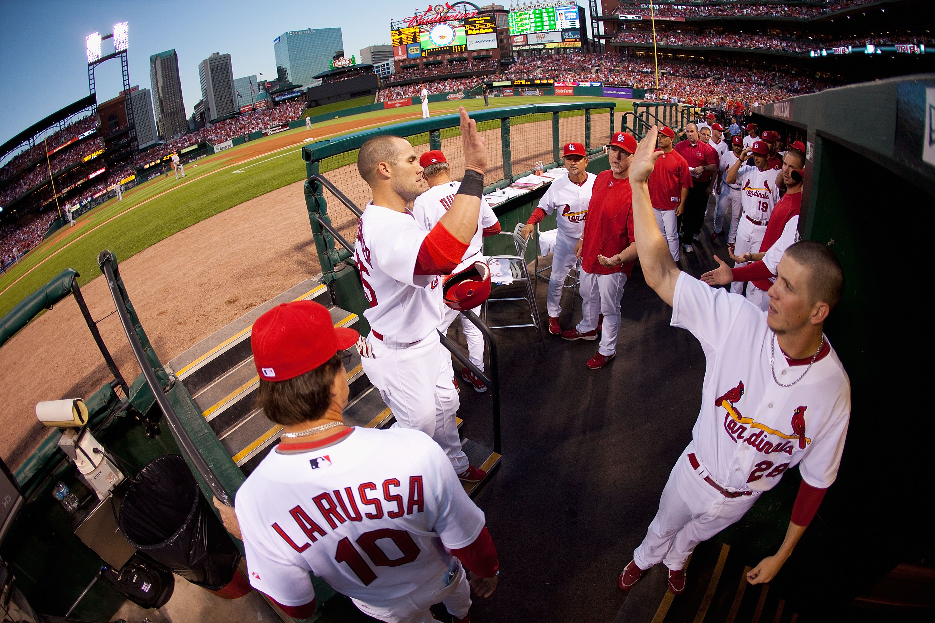 ST. LOUIS - SEPTEMBER 3: Skip Schumaker #55 of the St. Louis Cardinals is congratulated by teammates after scoring a run against the Cincinnati Reds at Busch Stadium on September 3, 2010 in St. Louis, Missouri.  The Cardinals beat the Reds 3-2.  (Photo by