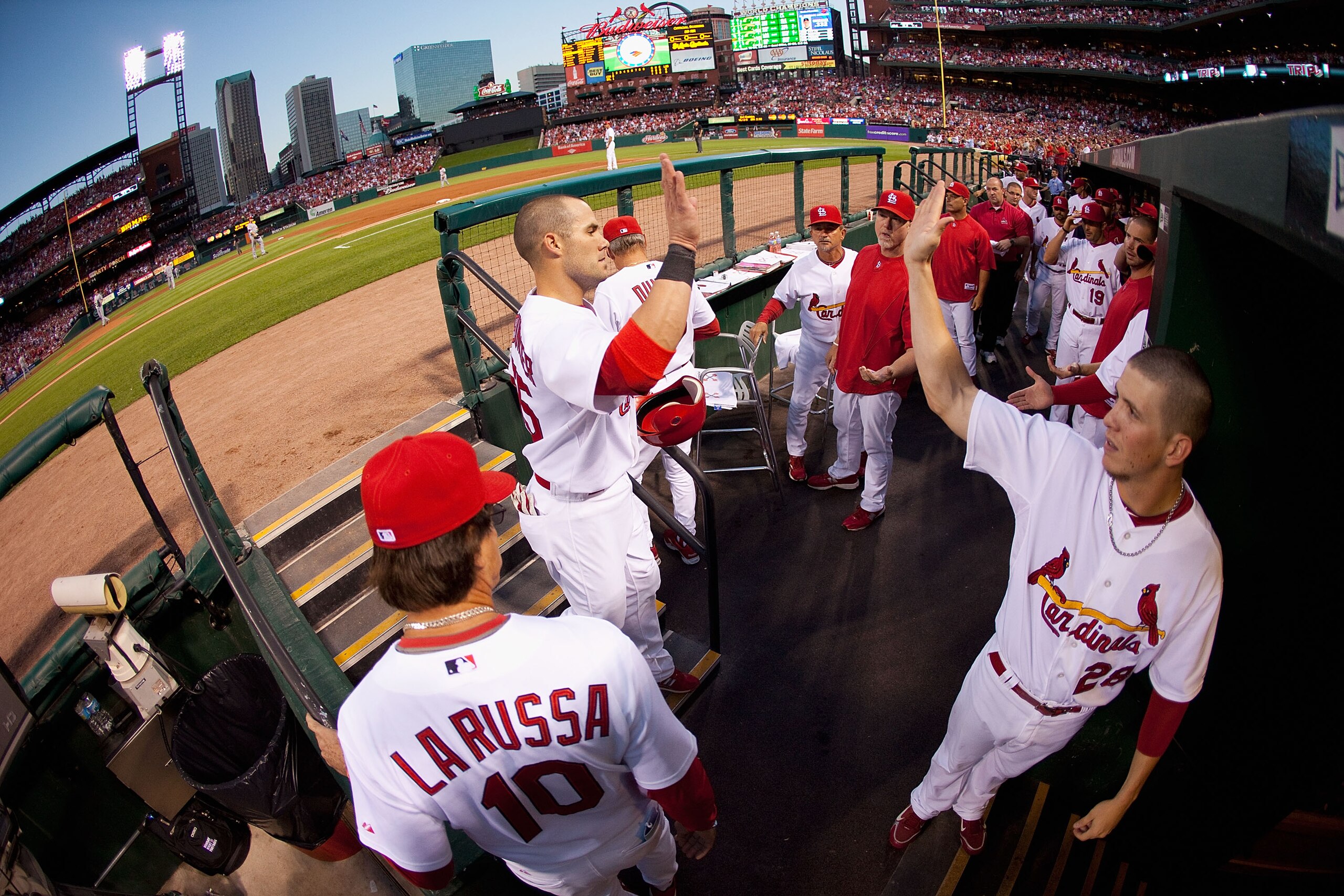 ST. LOUIS - SEPTEMBER 3: Skip Schumaker #55 of the St. Louis Cardinals is congratulated by teammates after scoring a run against the Cincinnati Reds at Busch Stadium on September 3, 2010 in St. Louis, Missouri.  The Cardinals beat the Reds 3-2.  (Photo by
