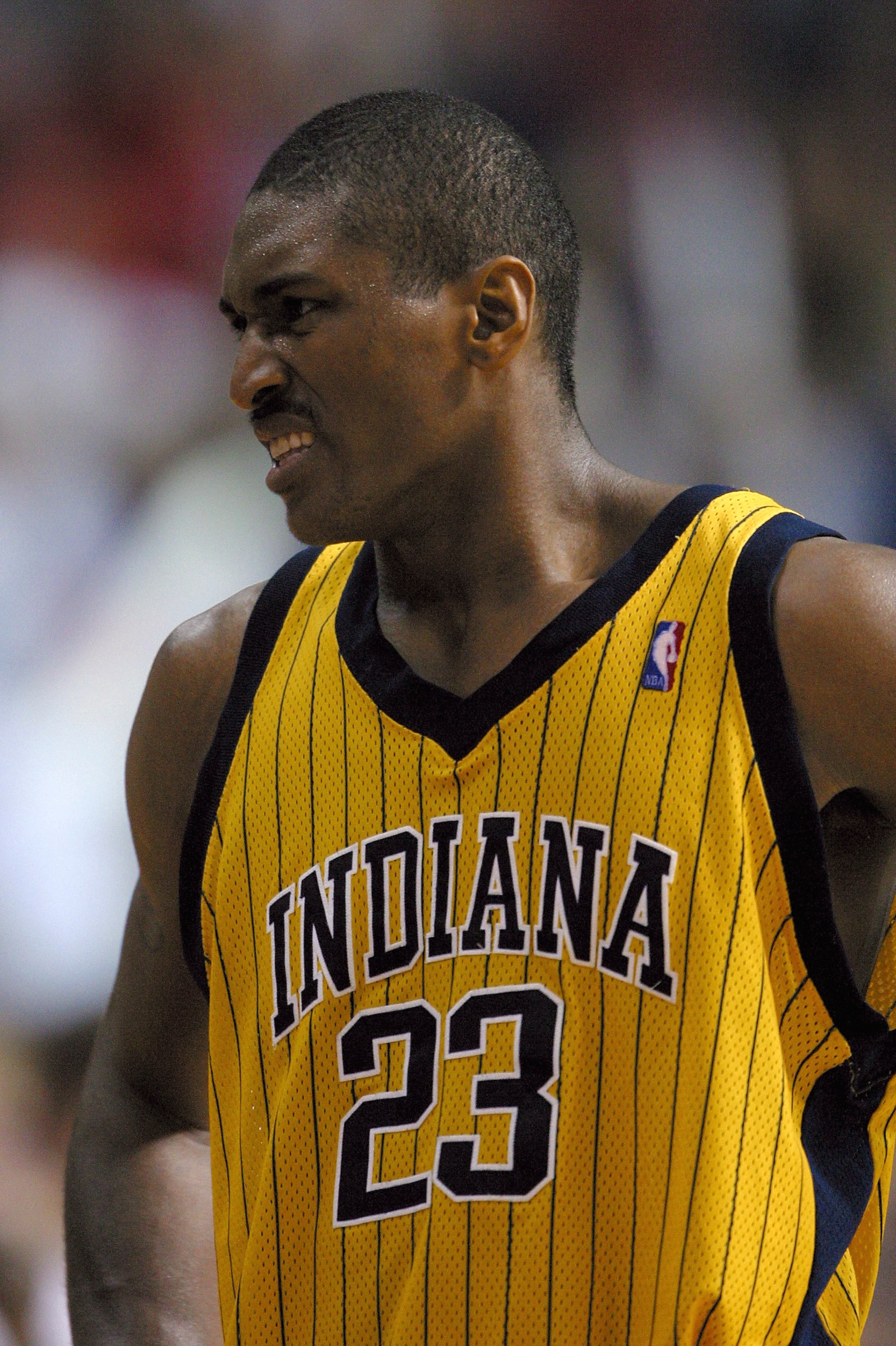 AUBURN HILLS, MI - JUNE 1:  Ron Artest #23 of the Indiana Pacers reacts after committing a flagrant foul on Richard Hamilton #32 of the Detroit Pistons in the final moments of Game six of the Eastern Conference Finals during the 2004 NBA Playoffs at The P