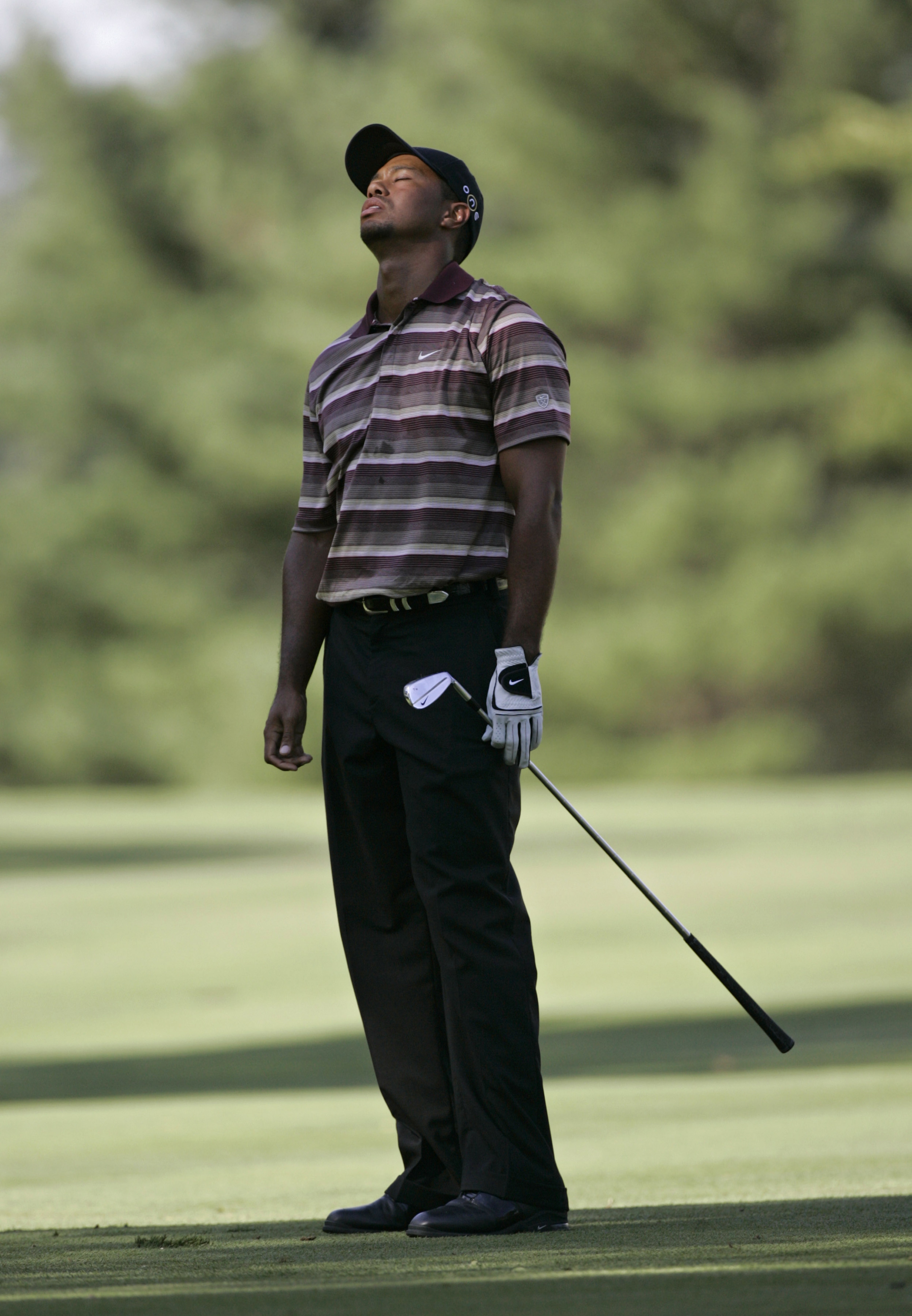 UNITED STATES - AUGUST 21:  Tiger Woods of the United States on the 11th hole during the final round of the NEC Invitational at Firestone Country Club in Akron, Ohio on August 21, 2005.  (Photo by Sam Greenwood/Getty Images)