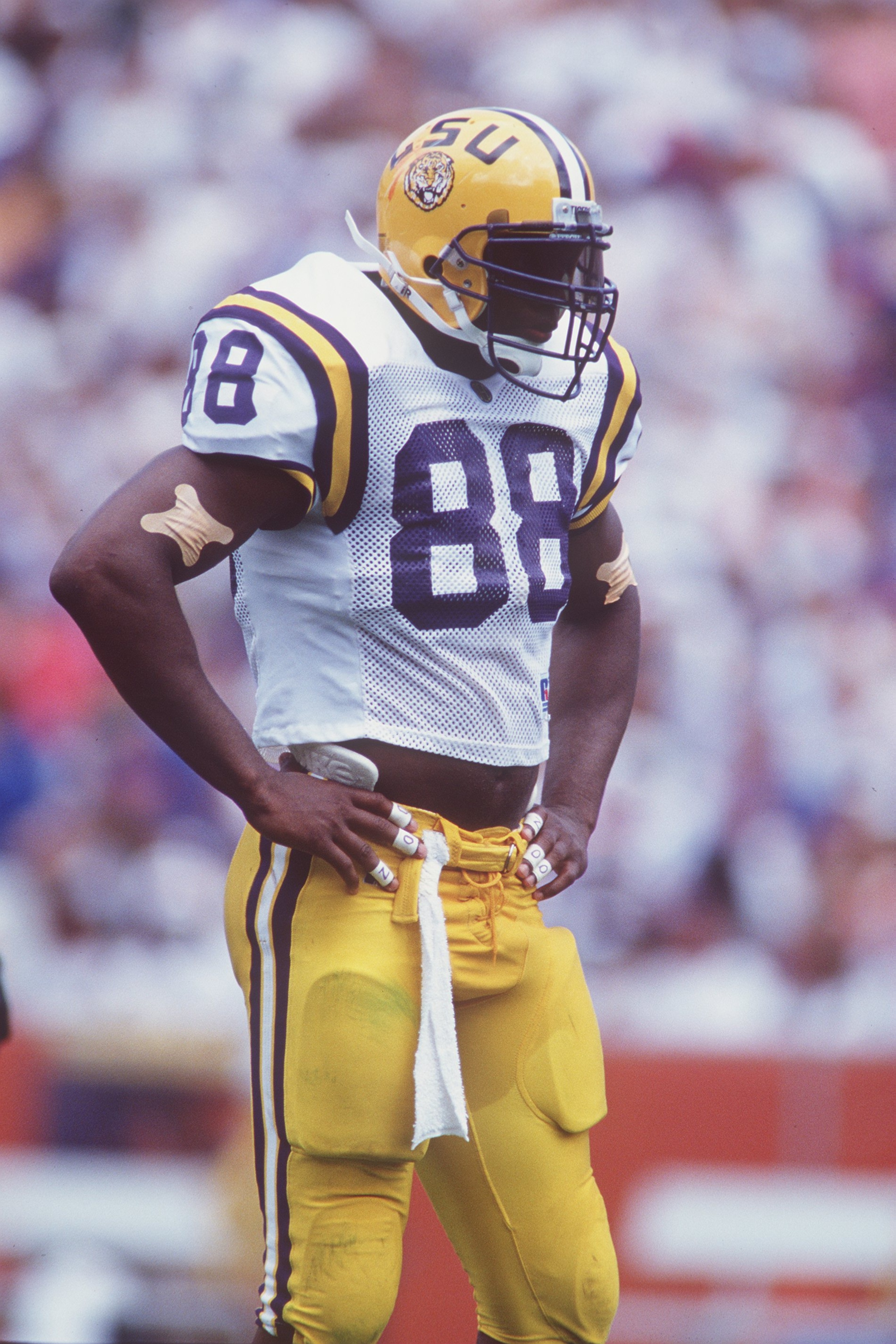 8 Oct 1994:  Tight end Gabe Northern of LSU during the Tigers 42-18 loss to the University of Florida at Florida Field in Gainesville, Florida. Mandatory Credit: Scott Halleran/ALLSPORT