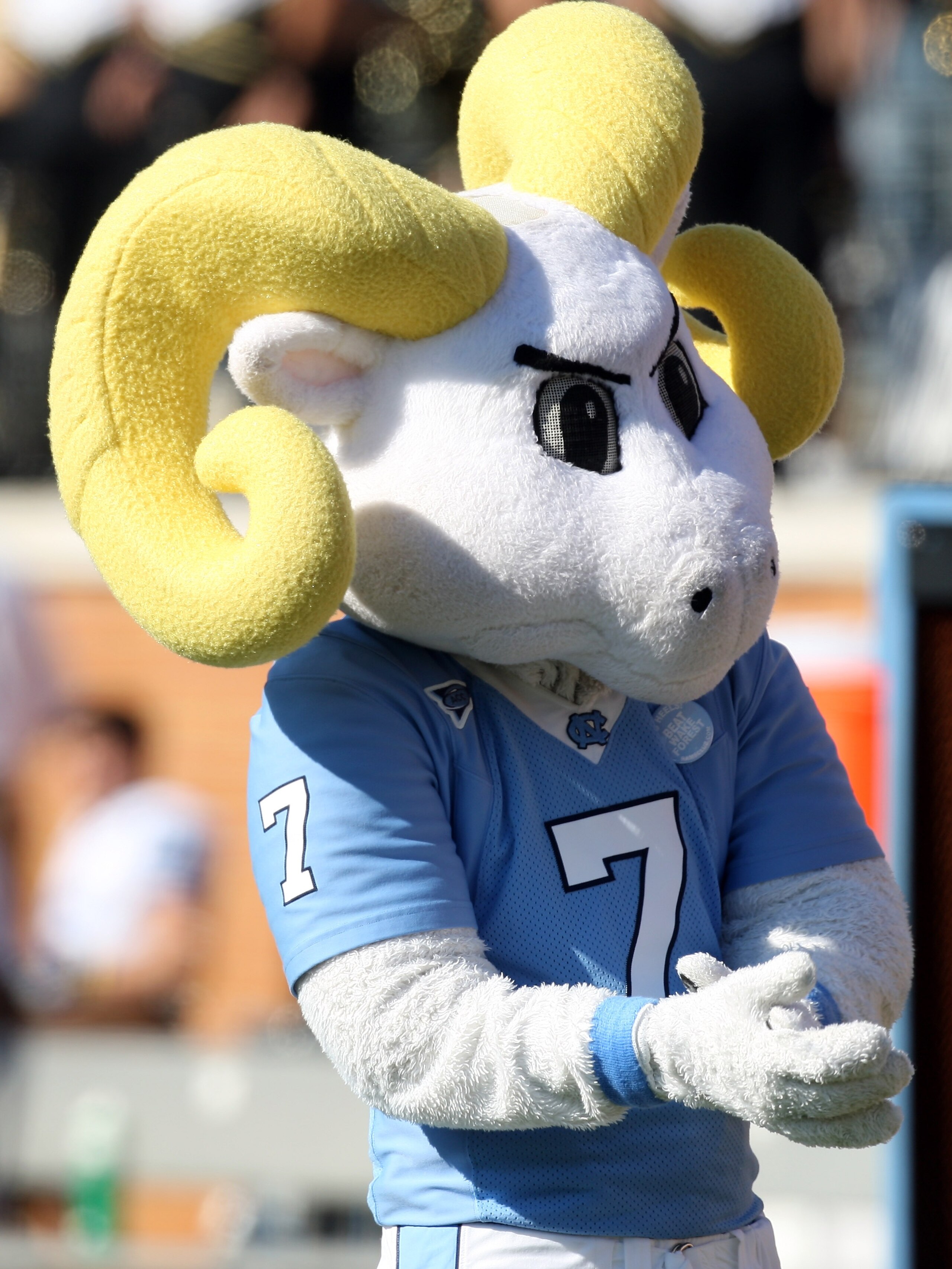 WINSTON SALEM, NC - OCTOBER 27:  The University of North Carolina Tar Heels mascot during the ACC game at the Groves Stadium, on October 27, 2007 in Winston Salem, North Carolina.  (Photo by David Cannon/Getty Images)
