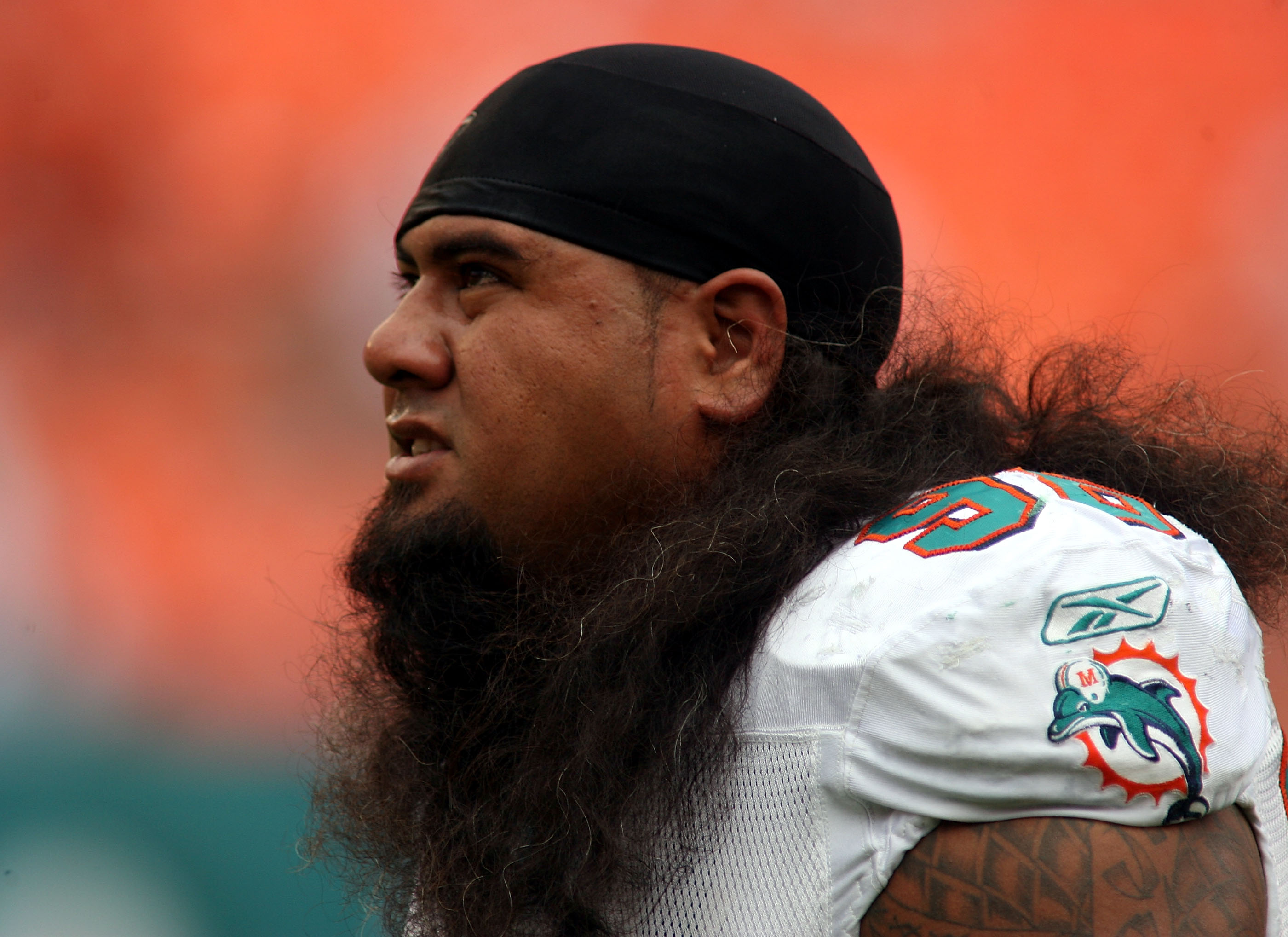 Photo: Miami Dolphins Joey Haynos and Chad Henne (7) react after