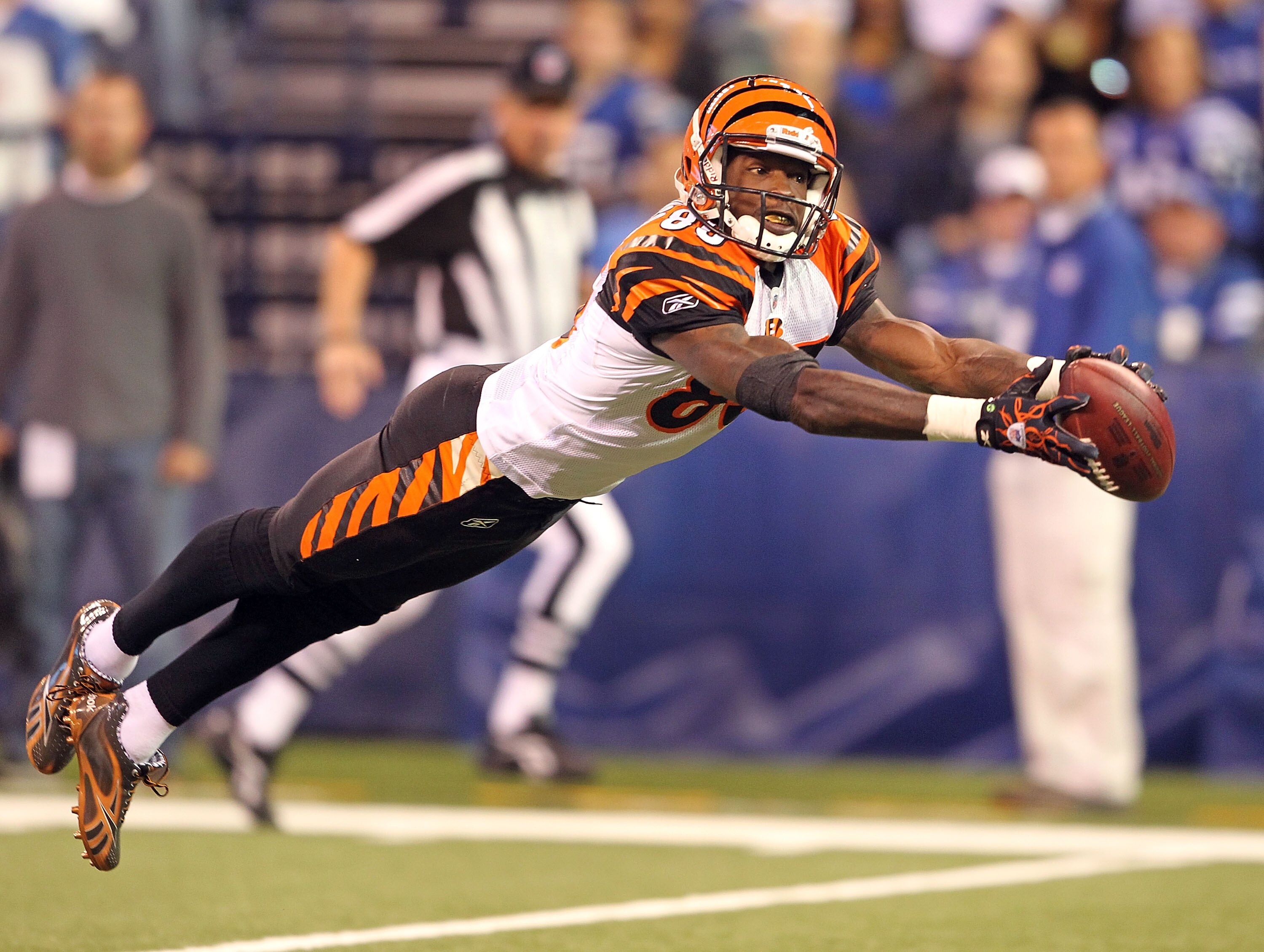INDIANAPOLIS - NOVEMBER 14:  Chad Ochocinco #85 of the Cincinnati Bengals reaches for a pass during the Bengals 23-17 loss to the Indianapolis Colts in the NFL game at Lucas Oil Stadium on November 14, 2010 in Indianapolis, Indiana.  (Photo by Andy Lyons/