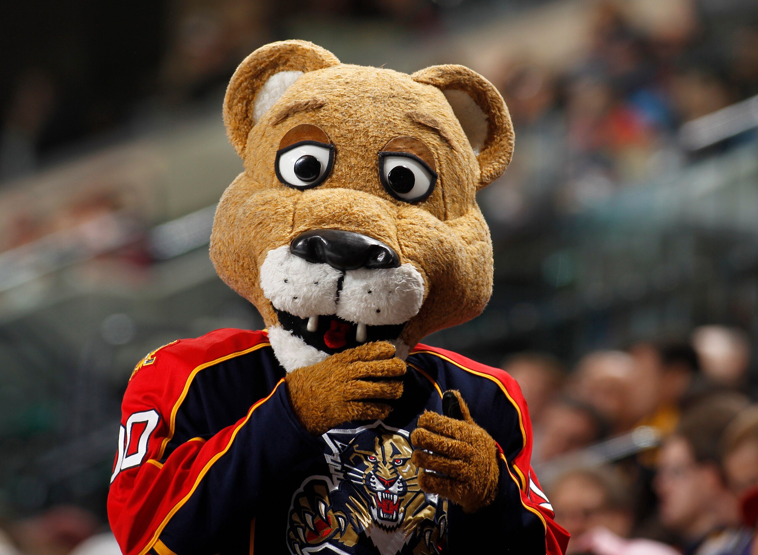 SUNRISE, FL - FEBRUARY 8: The Florida Panthers mascot in the stands during the game against the St. Louis Blues on February 8, 2011 at the BankAtlantic Center in Sunrise, Florida. The Blues defeated the Panthers 2-1. (Photo by Joel Auerbach/Getty Images)