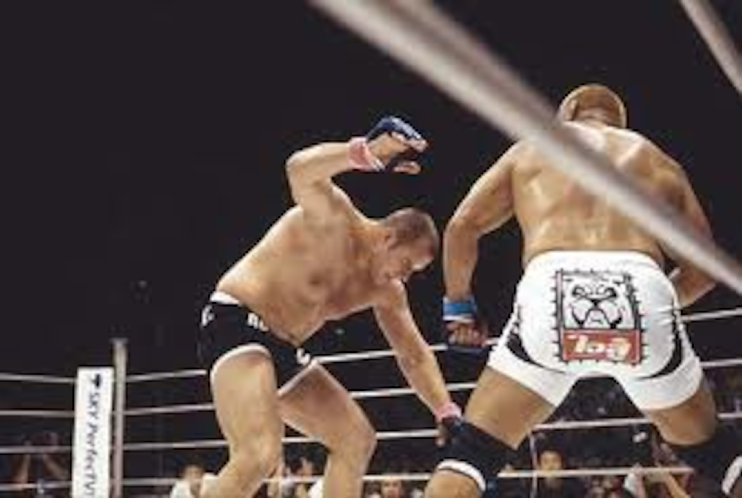Fedor Emelianenko VS Kazuyuki Fujita