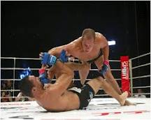 Fedor Emelianenko delivering vicious GNP on Nogueira