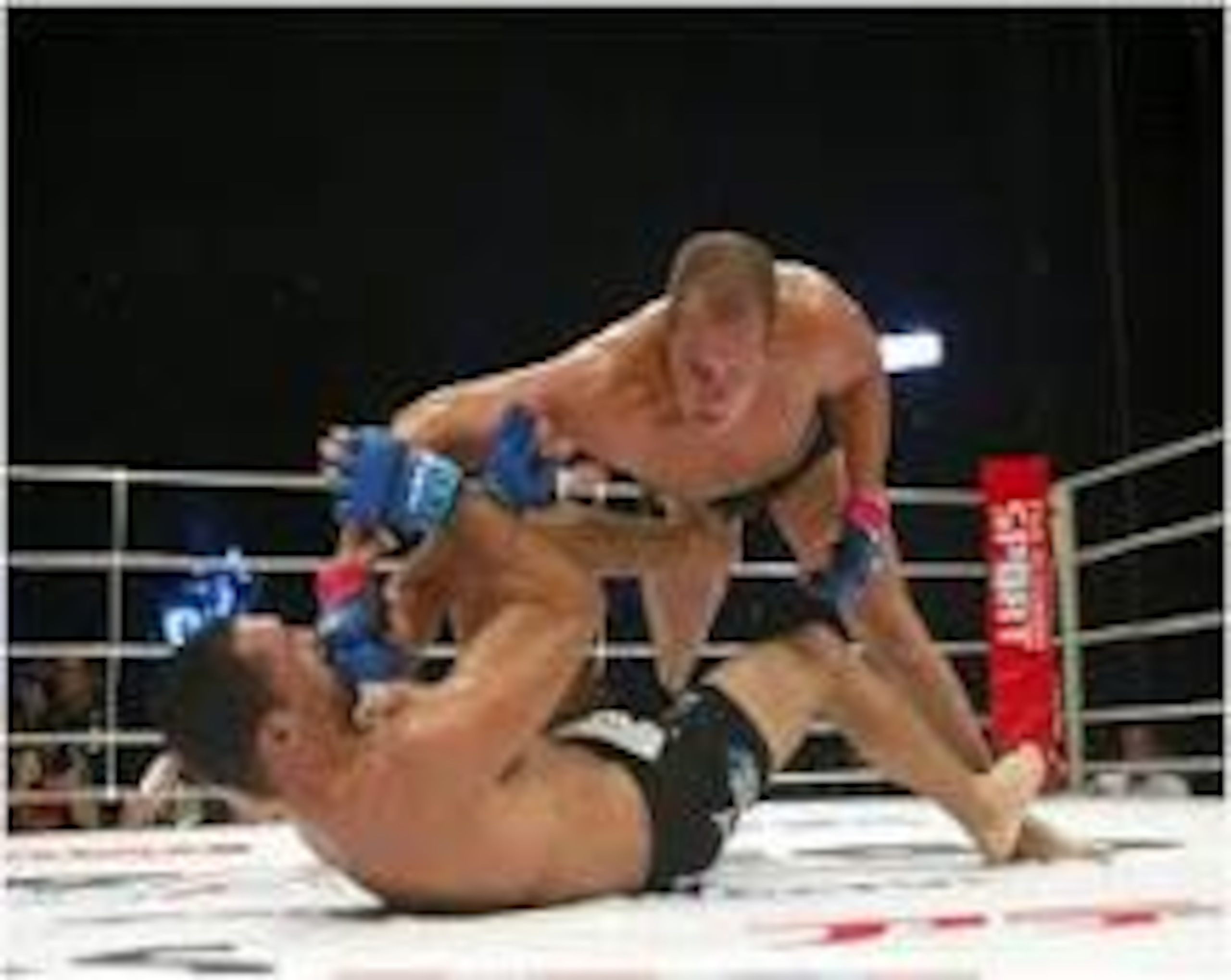Fedor Emelianenko delivering vicious GNP on Nogueira