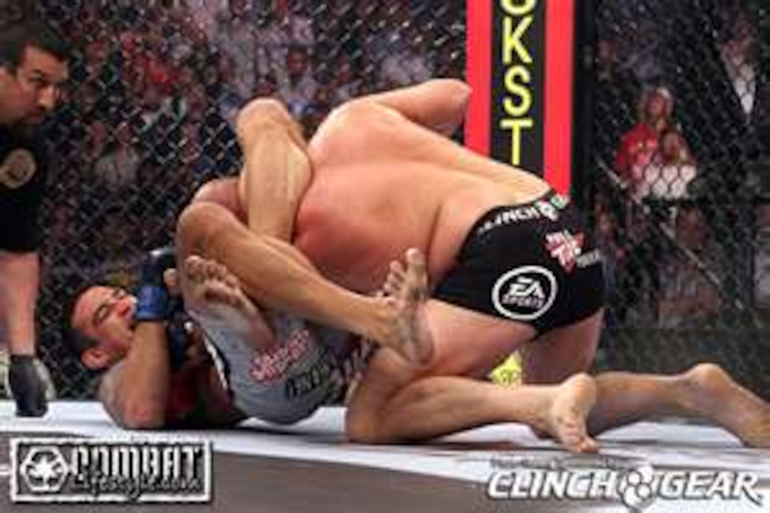 Fabricio Werdum securing a triangle armbar on Fedor Emelianenko