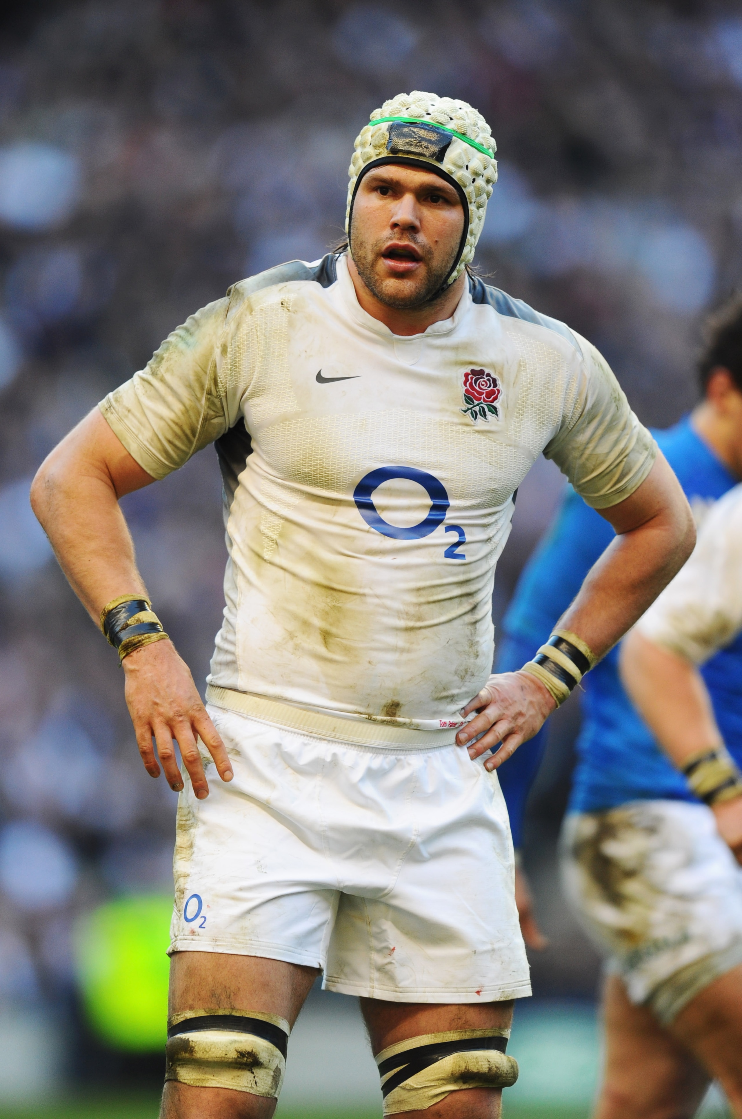 LONDON, ENGLAND - FEBRUARY 12:  Tom Palmer of England looks on during the RBS 6 Nations Championship match between England and Italy at Twickenham Stadium on February 12, 2011 in London, England.  (Photo by Mike Hewitt/Getty Images)