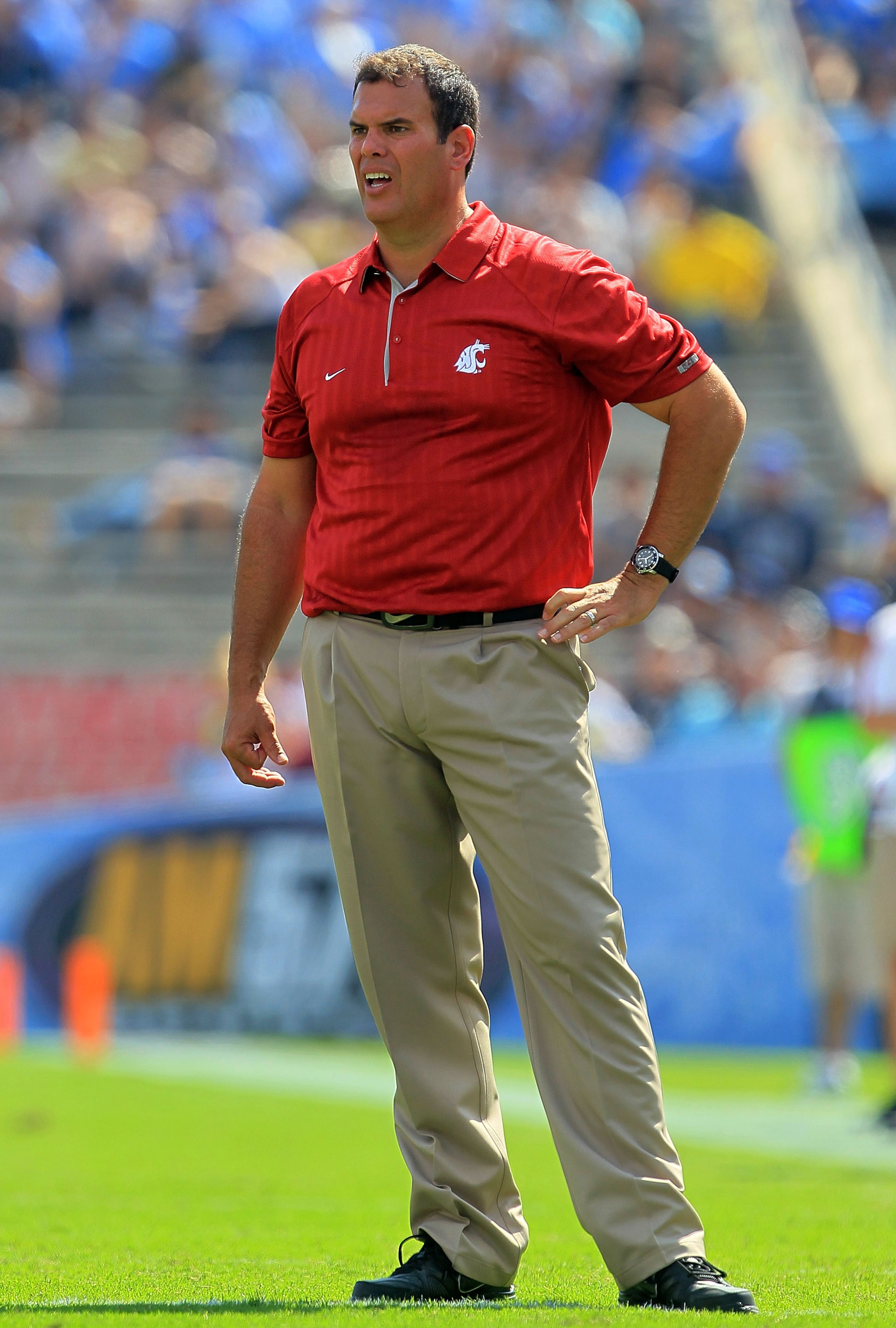 PASADENA, CA - OCTOBER 02:  Washington State Cougars head coach Paul Wulff watches the game against the UCLA Bruins at the Rose Bowl on October 2, 2010 in Pasadena, California. UCLA defeated Washington State 42-28.  (Photo by Jeff Gross/Getty Images)