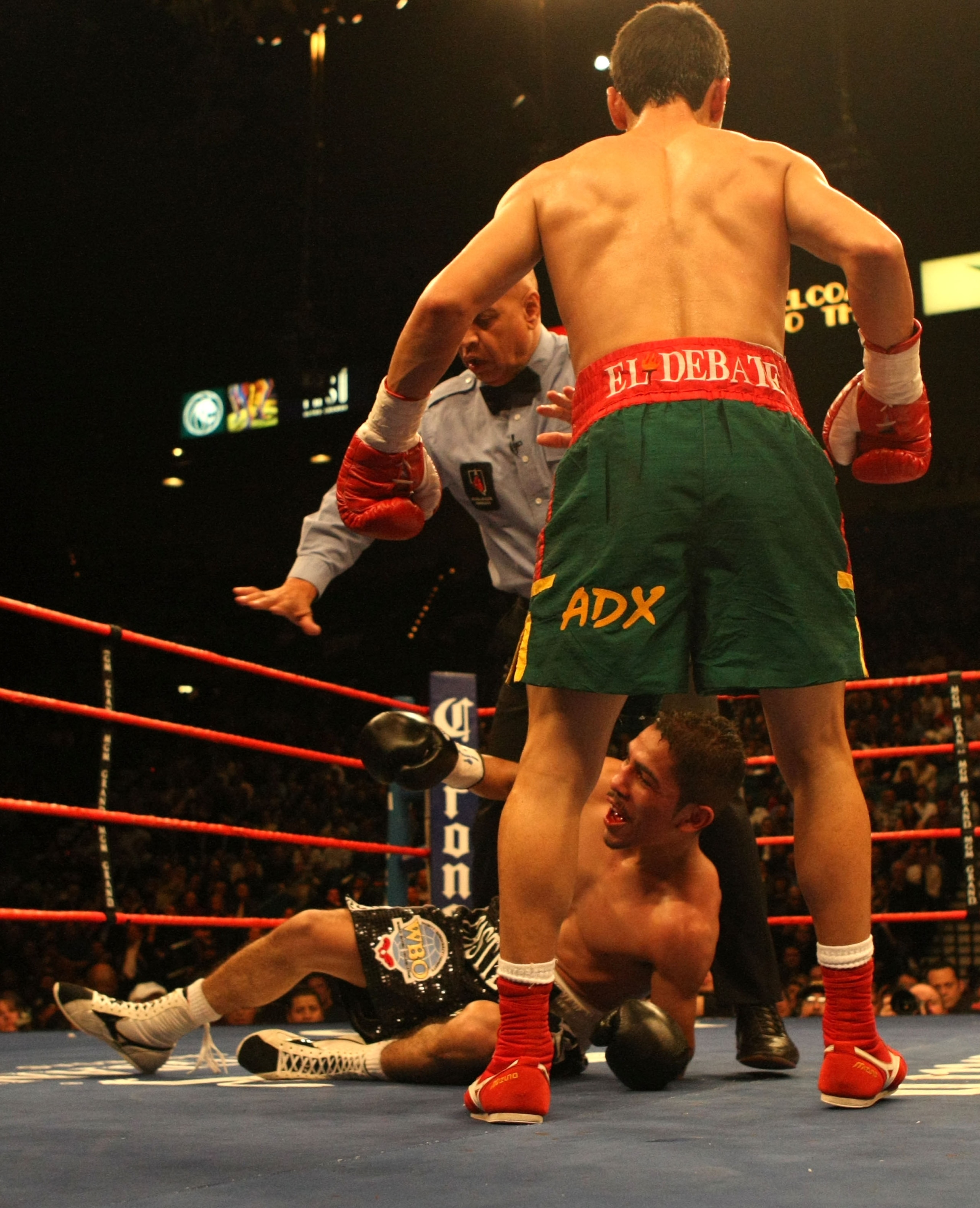 LAS VEGAS - FEBRUARY 16:  Martin Castillo of Mexico is knocked down by Fernando Montiel of Mexico  during their WBO super flyweight championship fight at the MGM Grand Garden Arena on February 16, 2008 in Las Vegas, Nevada.  (Photo by Jed Jacobsohn/Getty