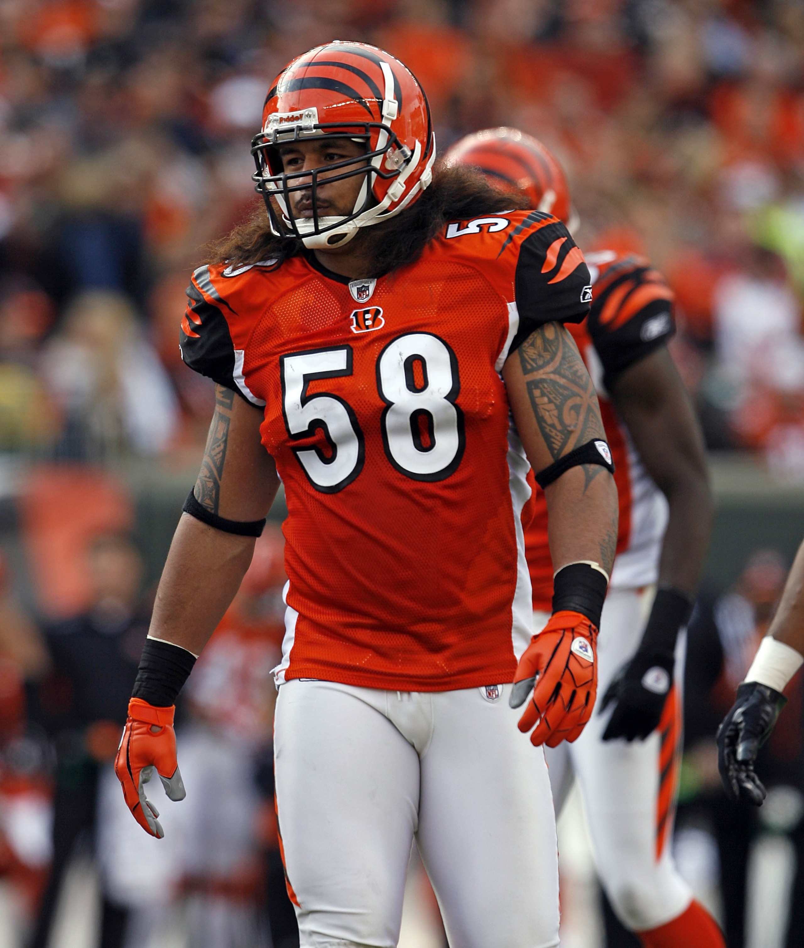 CINCINNATI - NOVEMBER 29: Rey Maualuga #58 of the Cincinnati Bengals looks on during the NFL game against the Cleveland Browns at Paul Brown Stadium on November 29, 2009 in Cincinnati, Ohio. (Photo by Andy Lyons/Getty Images) CINCINNATI - NOVEMBER 29: Rey Maualuga #58 of the Cincinnati Bengals looks on during the NFL game against the Cleveland Browns at Paul Brown Stadium on November 29, 2009 in Cincinnati, Ohio. (Photo by Andy Lyons/Getty Images)