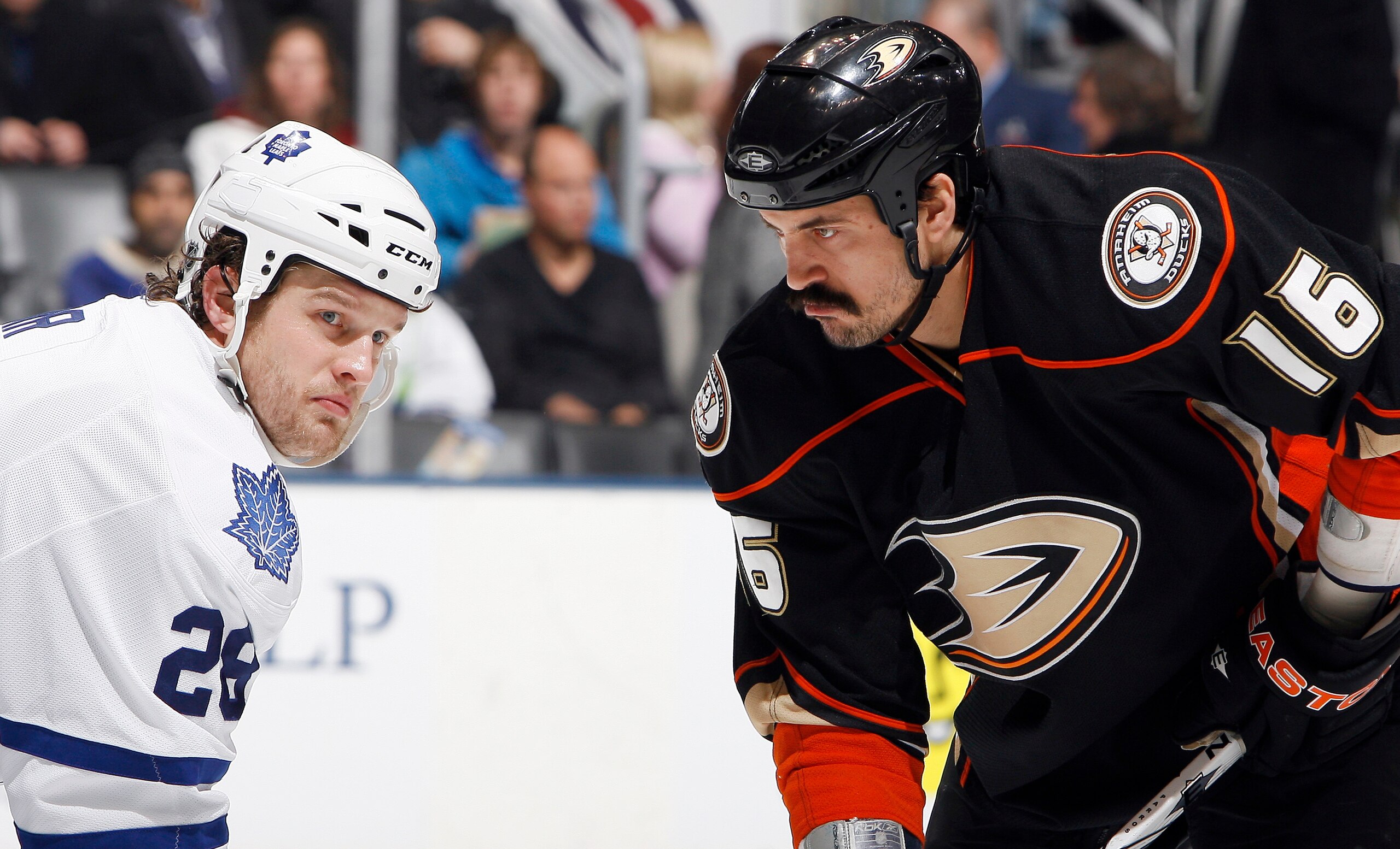 TORONTO, CANADA - JANUARY 20: Colton Orr #28 of the Toronto Maple Leafs squares up with George Parros #16 of the Anaheim Ducks during game action at the Air Canada Centre January 20, 2011 in Toronto, Ontario, Canada. (Photo by Abelimages/Getty Images)