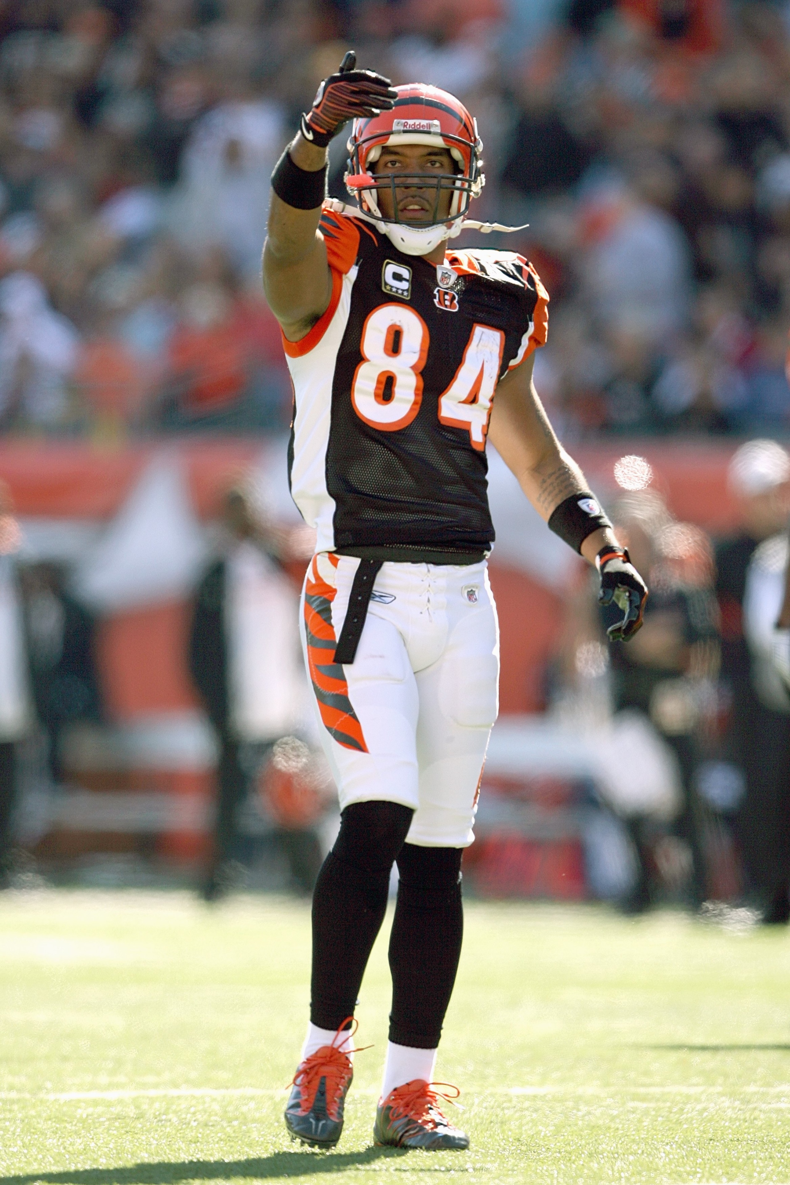 CINCINNATI - OCTOBER 19:  T.J. Houshmandzadeh #84 of the Cincinnati Bengals points on the field during the NFL game against the Pittsburgh Steelers at Paul Brown Stadium on October 19, 2008 in Cincinnati, Ohio.  (Photo by Andy Lyons/Getty Images)