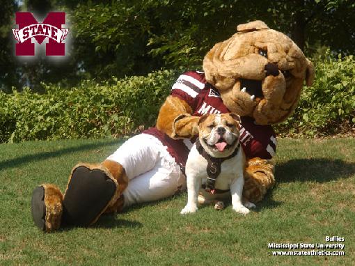 mississippi state bulldog stuffed animal