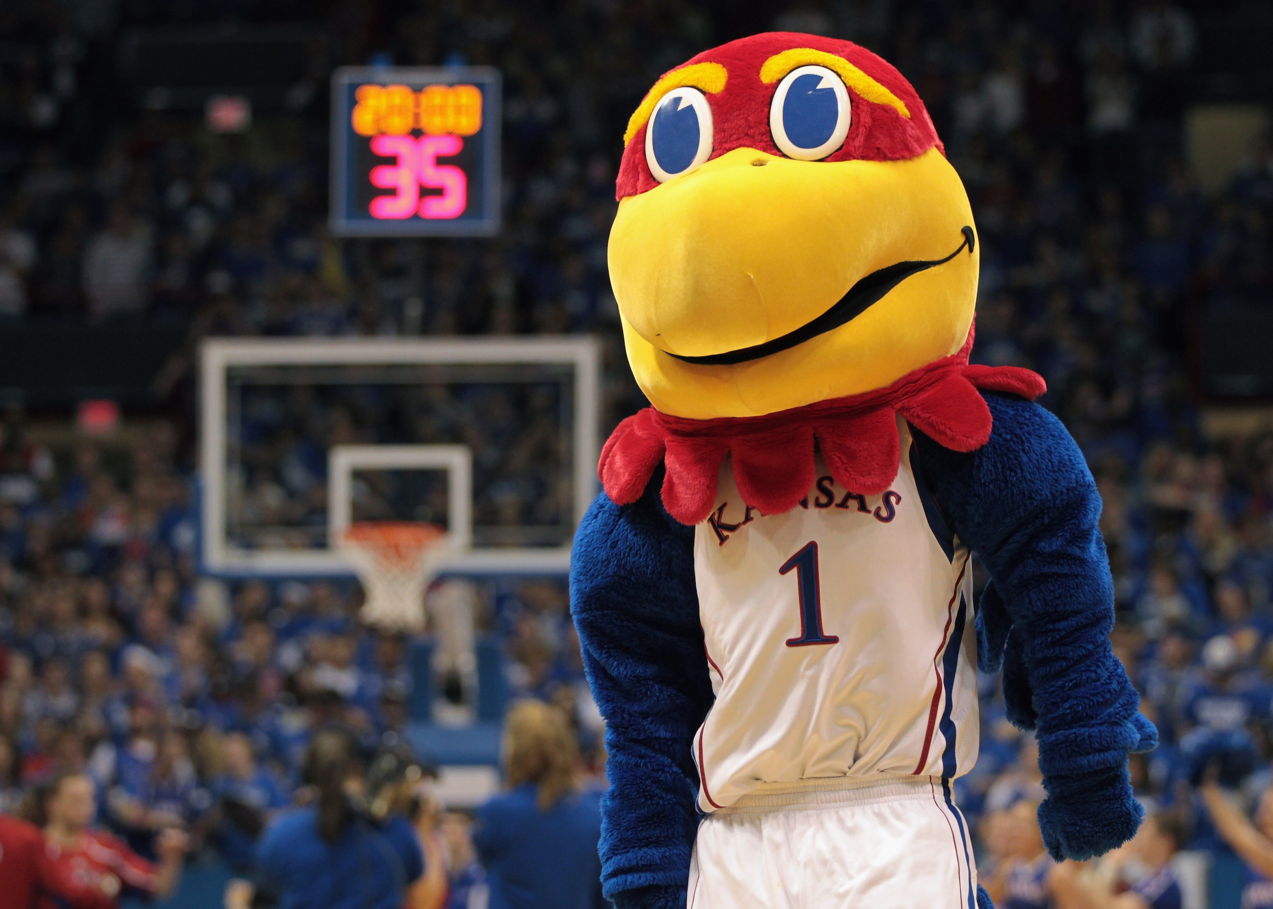 LAWRENCE, KS - DECEMBER 02: The Kansas Jayhawk mascot during the game between the UCLA Bruins and the Kansas Jayhawks on December 2, 2010 at Allen Fieldhouse in Lawrence, Kansas. (Photo by Jamie Squire/Getty Images) LAWRENCE, KS - DECEMBER 02: The Kansas Jayhawk mascot during the game between the UCLA Bruins and the Kansas Jayhawks on December 2, 2010 at Allen Fieldhouse in Lawrence, Kansas. (Photo by Jamie Squire/Getty Images)
