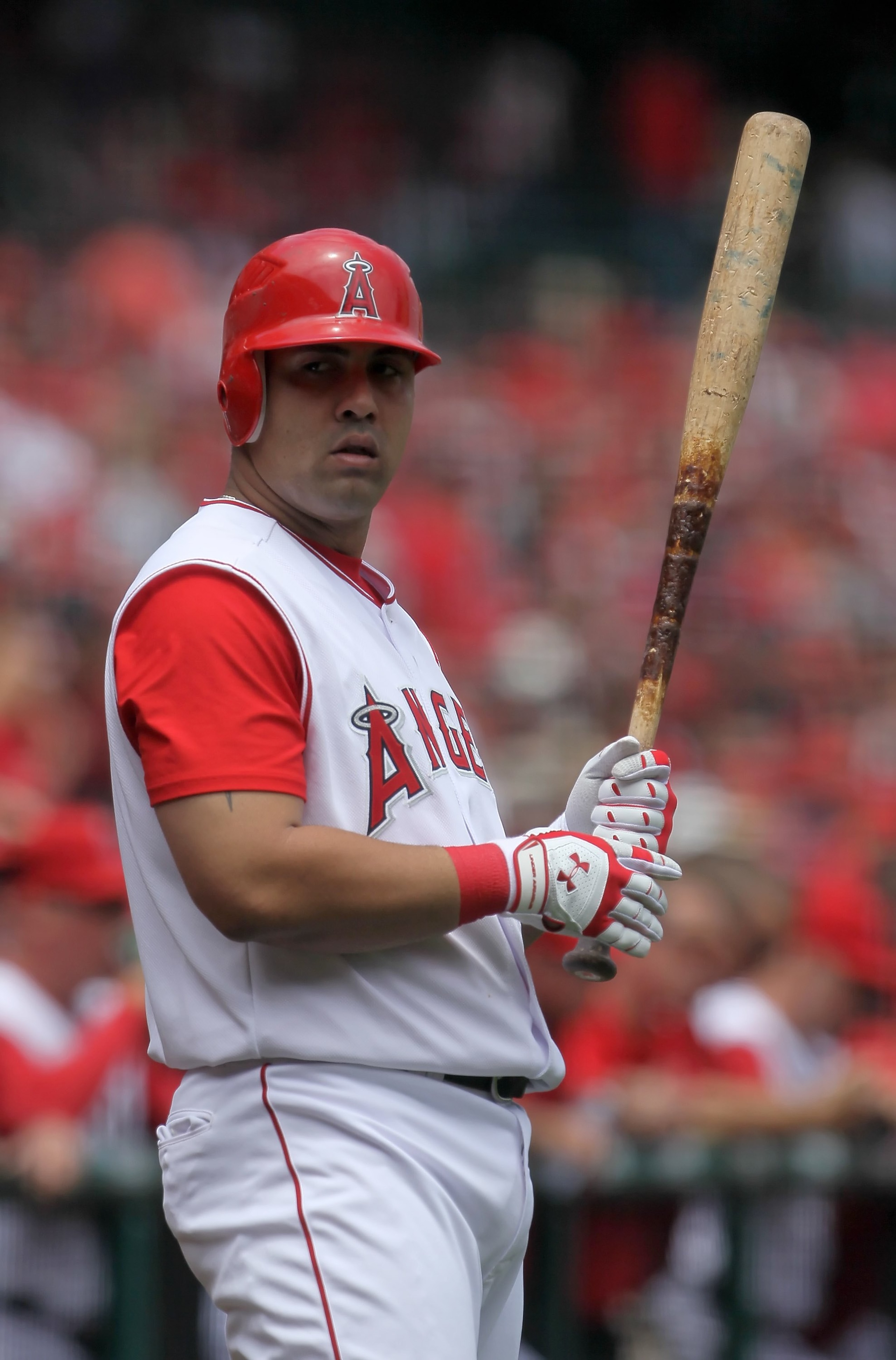 ANAHEIM, CA - MAY 16:  Kendry Morales #8 the Los Angeles Angels of Anaheim bats against the Oakland Athletics at Angel Stadium on May 16, 2010 in Anaheim, California. The Angels defeated the Athletics 4-0.  (Photo by Jeff Gross/Getty Images)