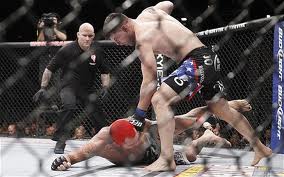 Brian Stann finishing "The Crippler" Chris Leben